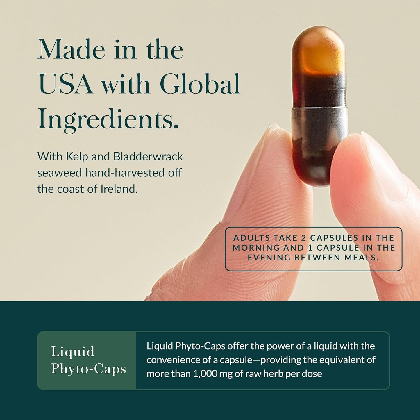 Gaia Herbs Thyroid Support - Made with Ashwagandha, Kelp, Brown Seaweed, and Schisandra to Support Healthy Metabolic Balance and Overall Well-Being - 60 Vegan Liquid Phyto-Capsules (20-Day Supply)