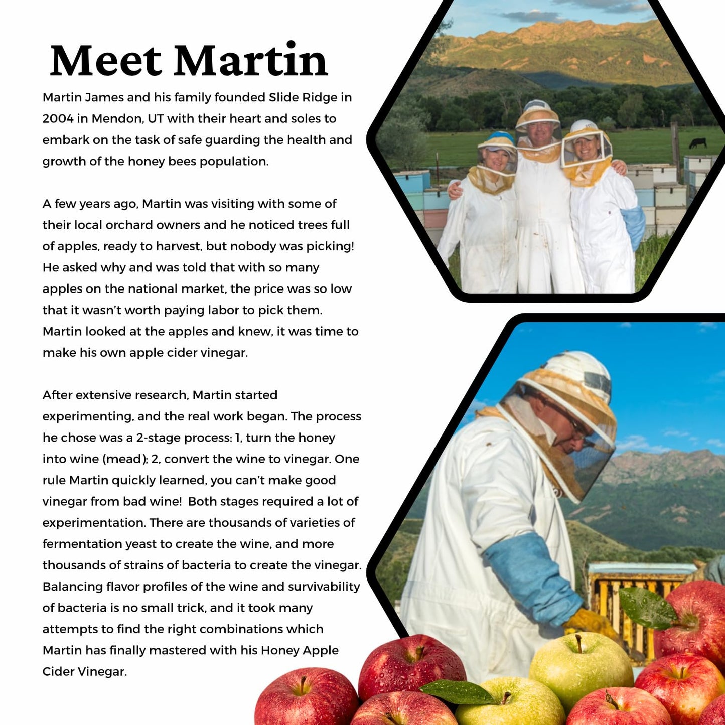 Slide Ridge Martin's Honey Apple Cider Vinegar | Crispy & Sweet | Wellness, Kitchen, & Household Staple | 16 oz (Pack of 4)