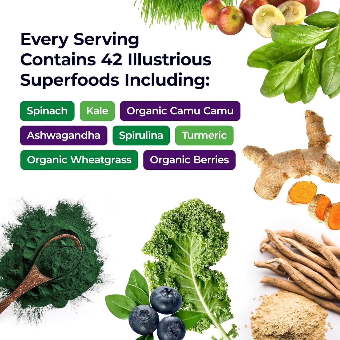 Paradise Herbs, ORAC Energy Greens Powder, Antioxidant Power of 24 Servings of Fruits & Vegetables in 1 Scoop, 15 Servings