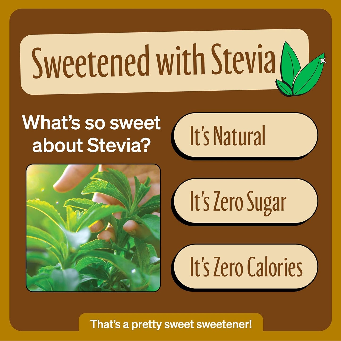 Zevia Zero Sugar Soda, Creamy Root Beer, 12 oz Cans (24-Pack) – Naturally Sweetened, Non-GMO Project Verified, Gluten-Free, Vegan