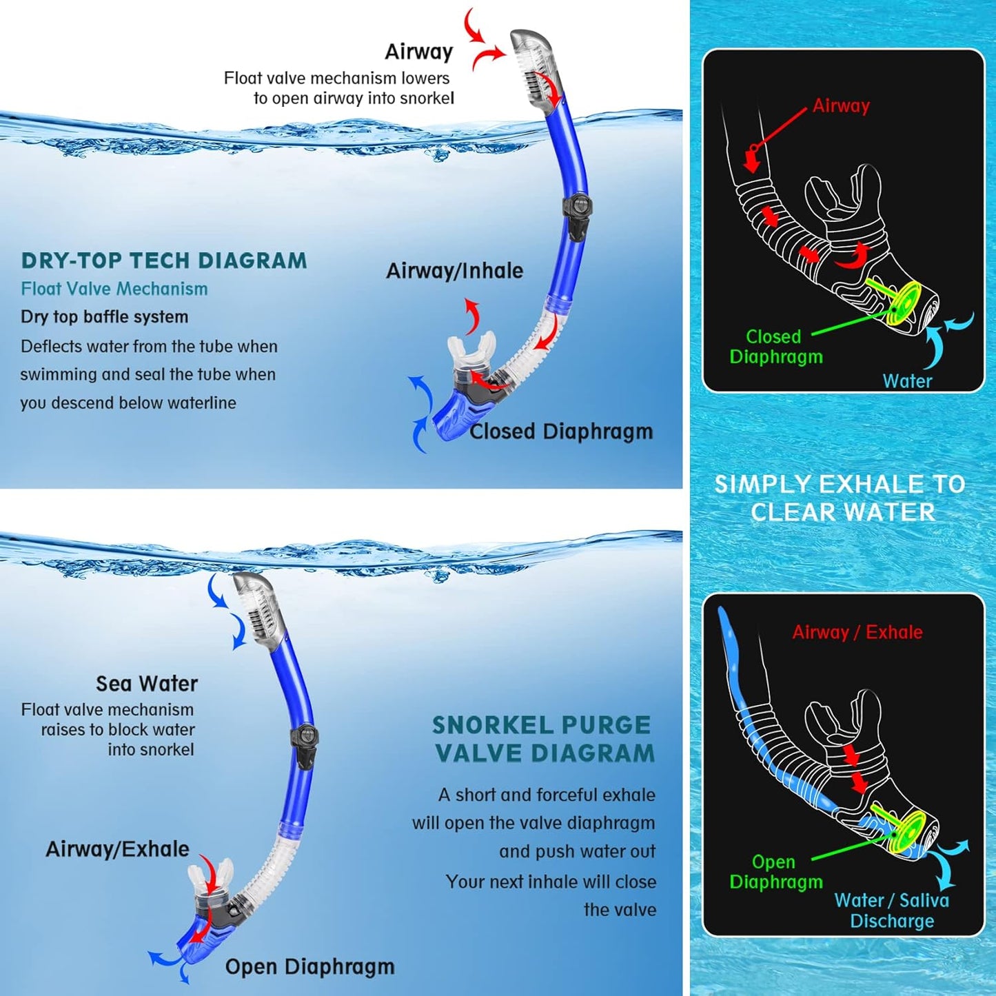 ZEEPORTE Mask Fin Snorkel Set, Travel Size Snorkeling Gear for Adults with Panoramic View Anti-Fog Mask, Trek Fins, Dry Top Snorkel and Gear Bag for Swimming Training, Snorkeling Kit Diving Packages