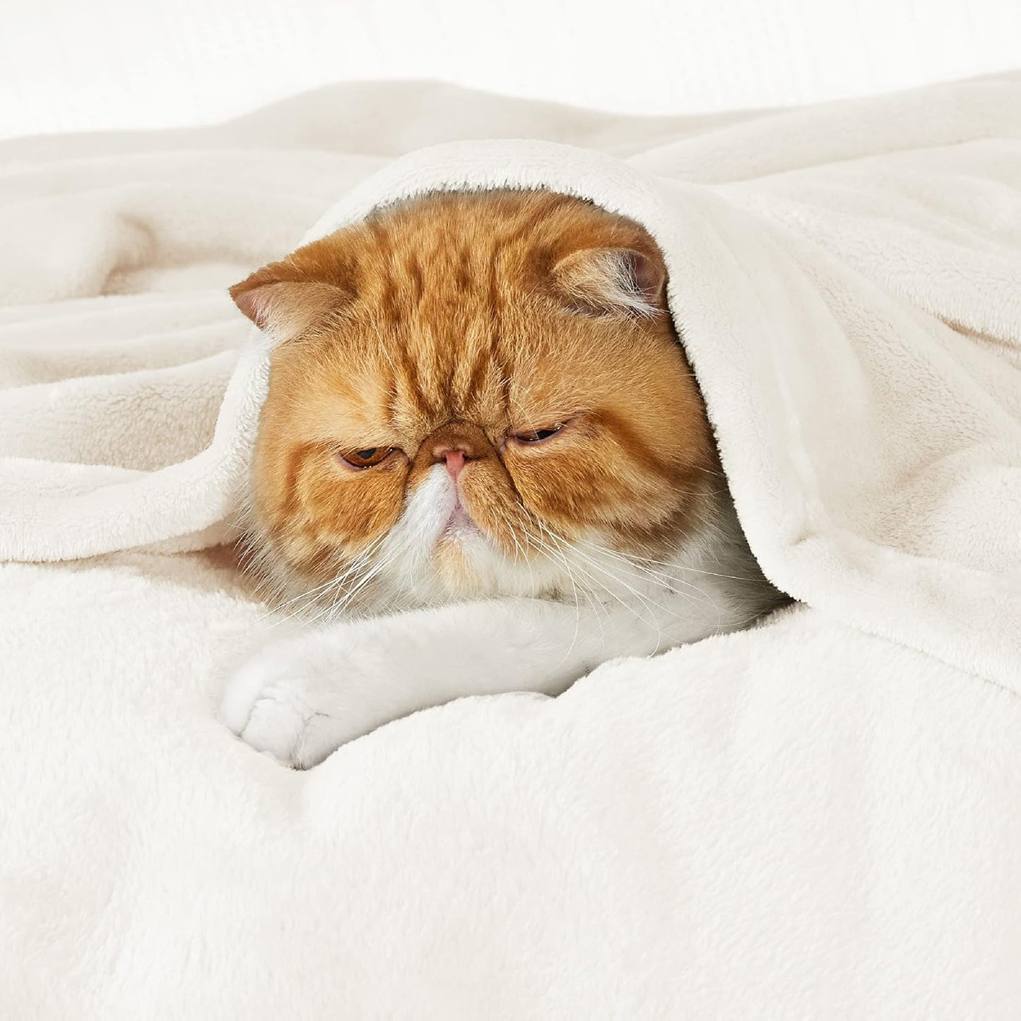 Bedsure Fleece Throw Blanket for Couch Cream - Lightweight Plush Fuzzy Cozy Soft Blankets and Throws for Sofa, 50x60 inches