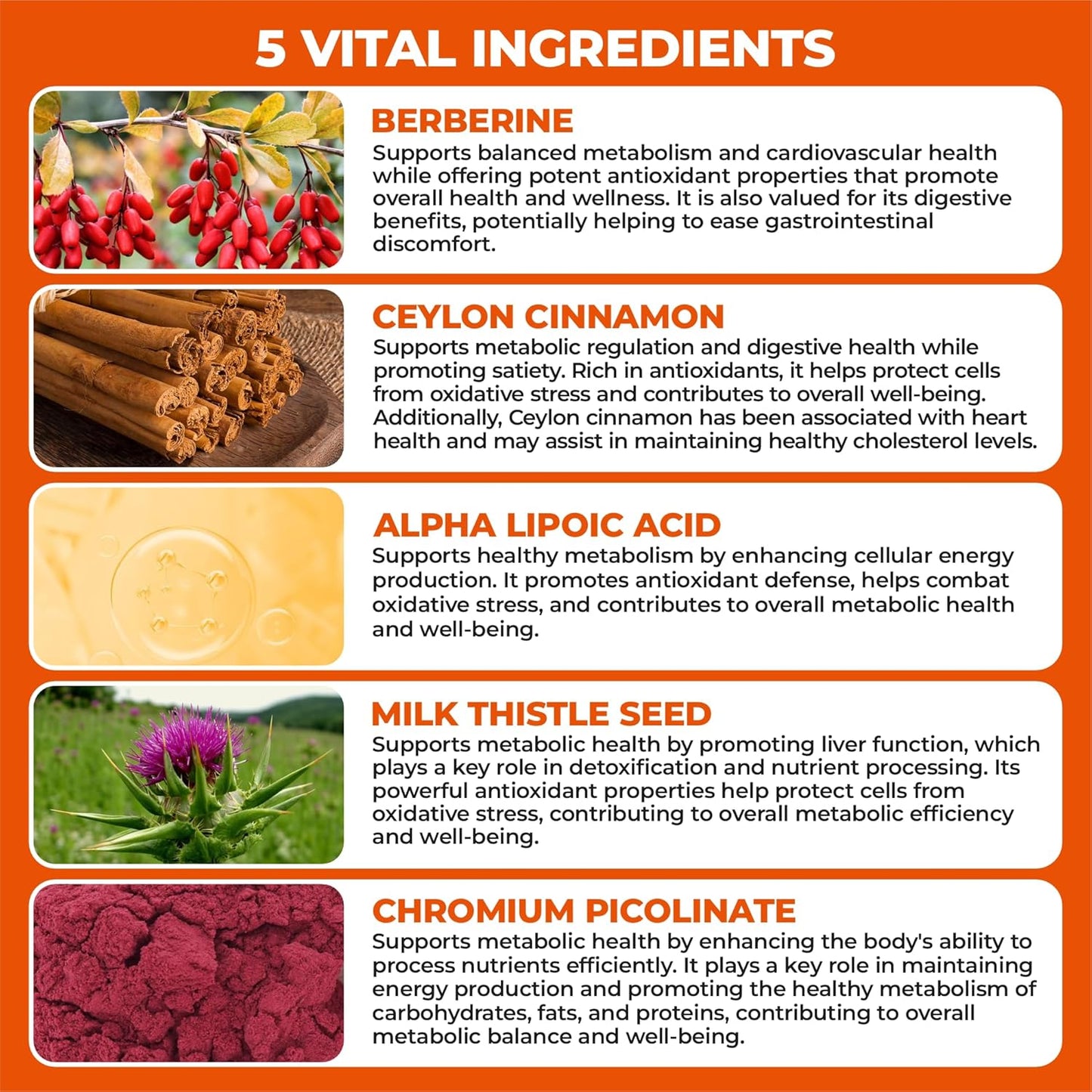 Berberine Supplement with Ceylon Cinnamon, Chromium, Alpha Lipoic Acid, Metabolic Care Supports Metabolism & Cardiovascular Health and Immune System, Helps Maintain Steady Energy Levels