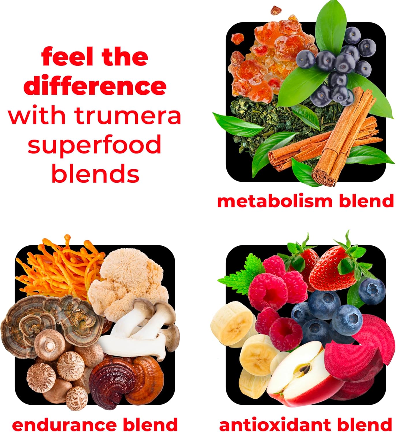 Superfood Reds Powder Packs - for Immune Support and Memory I Reds Superfood Powder Antioxidants Polyphenols Blend with Organic Acai Berry, Goji Berry, Pomegranate - 14 Sachets