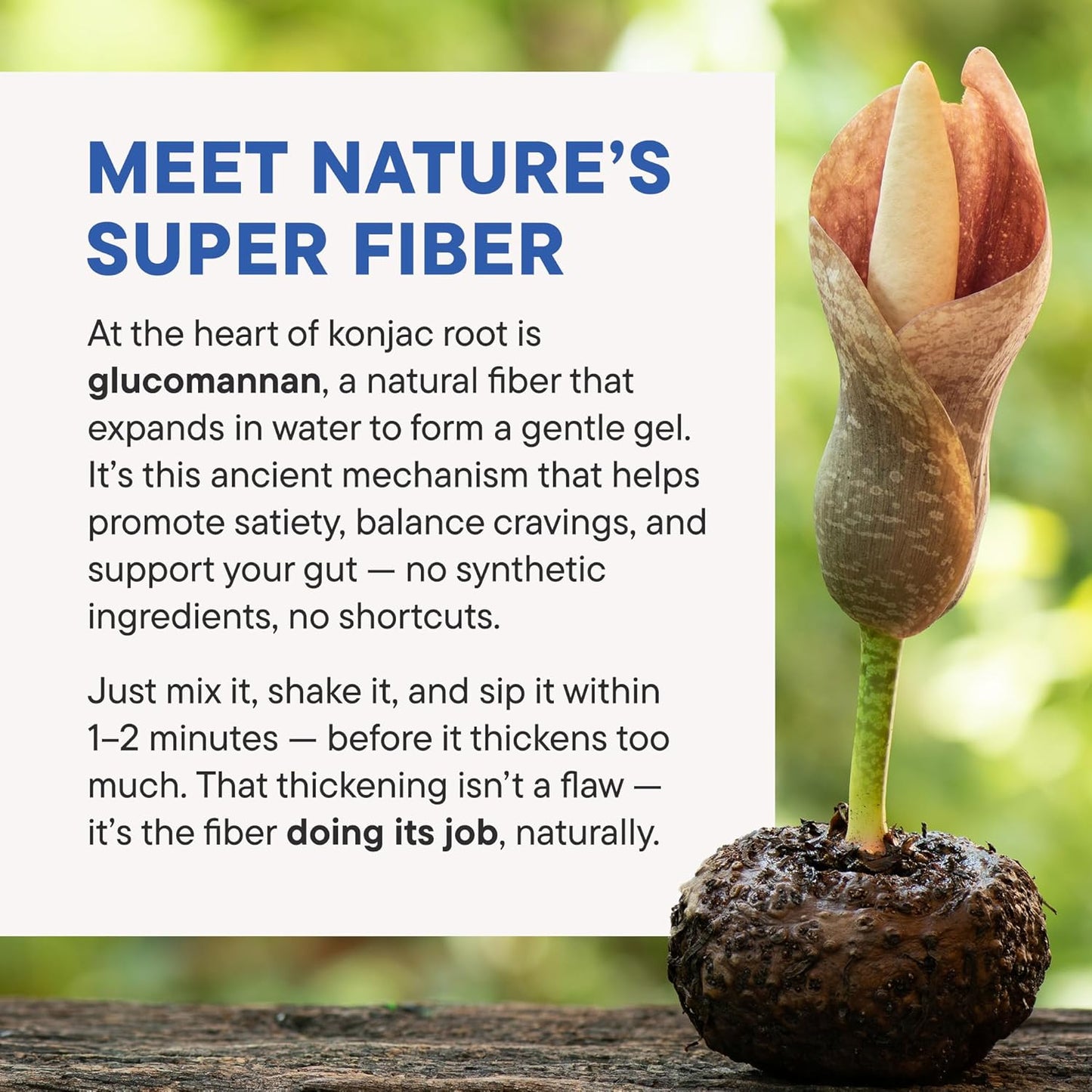 Nouri Daily FeelFull Prebiotic Fiber Drink Mix | Supports Natural Fullness, Appetite & Cravings Control, Gut & Metabolic Health | Oligofructose, Glucomannan & Chromium | 30 Stick Packs