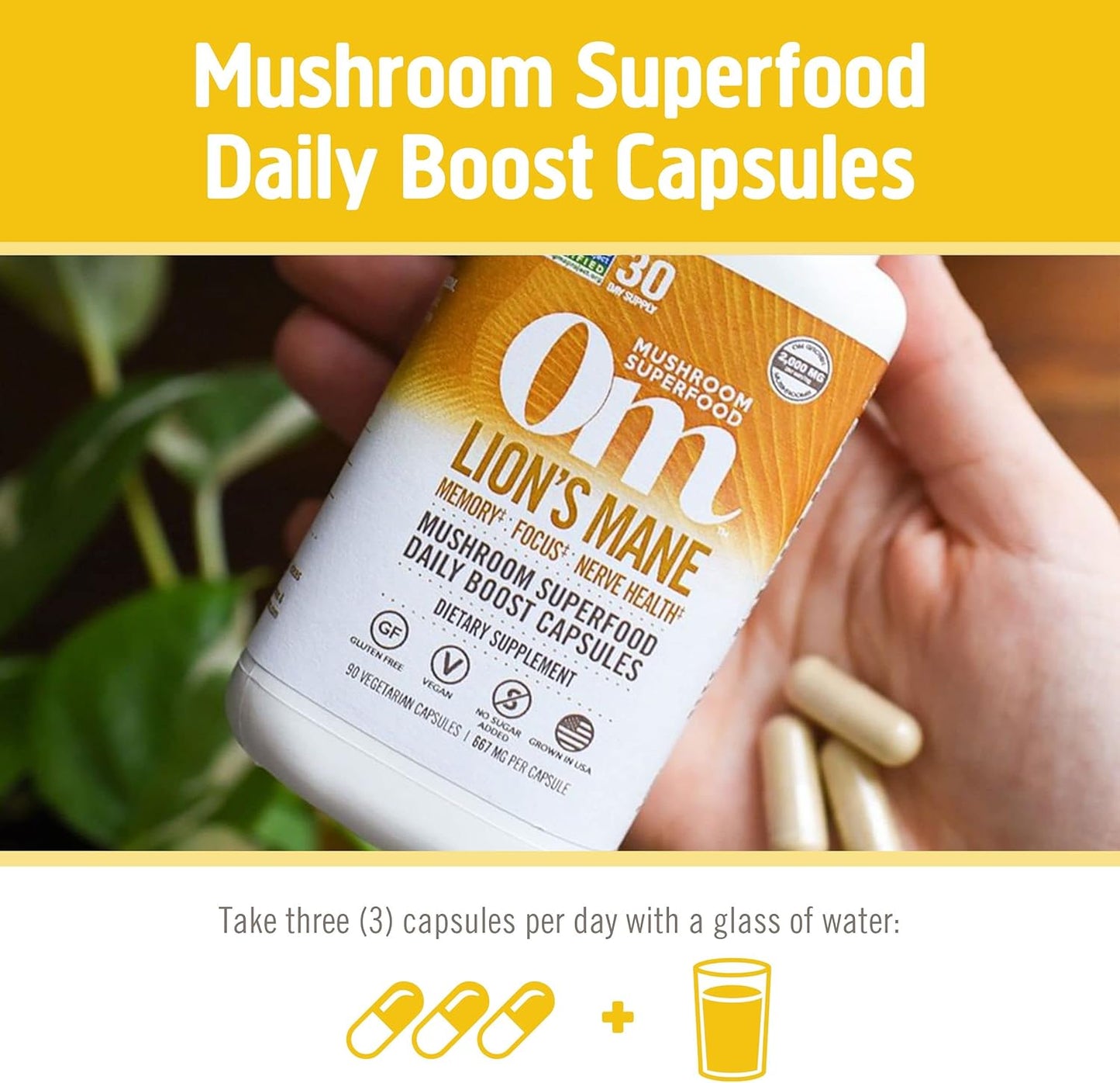 OM MUSHROOM SUPERFOOD Lion's Mane Mushroom Capsules Superfood Supplement, 180 Count, 60 Days, Fruit Body and Mycelium Nootropic for Memory Support, Focus, Clarity, Nerve Health, Creativity and Mood