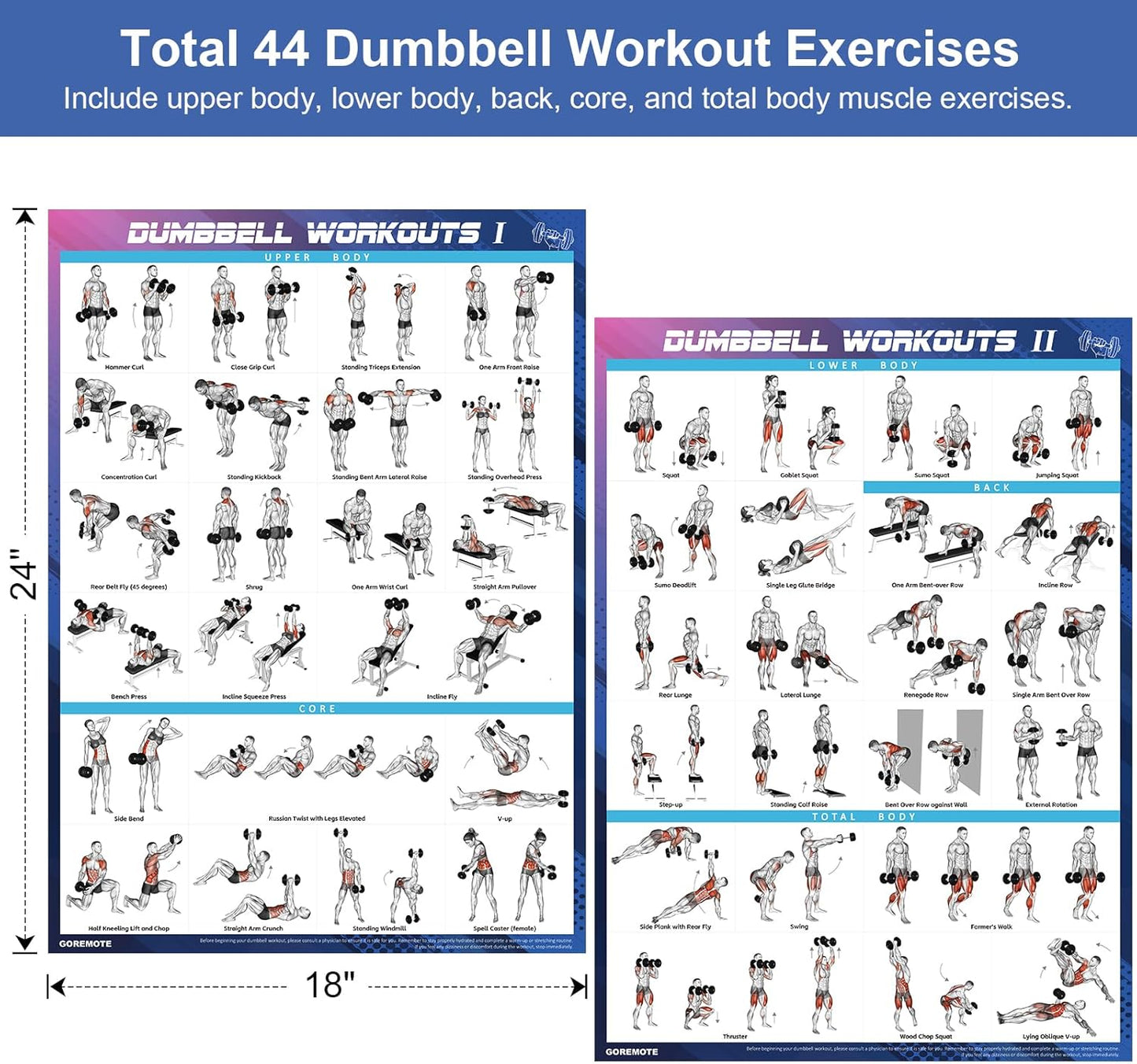 Dumbbell Workout Poster Set (2 Pack) - Workout Charts for Home Gym, Volume I & II - 18" x 24" with Enlarged Dumbbell Exercise Illustrations