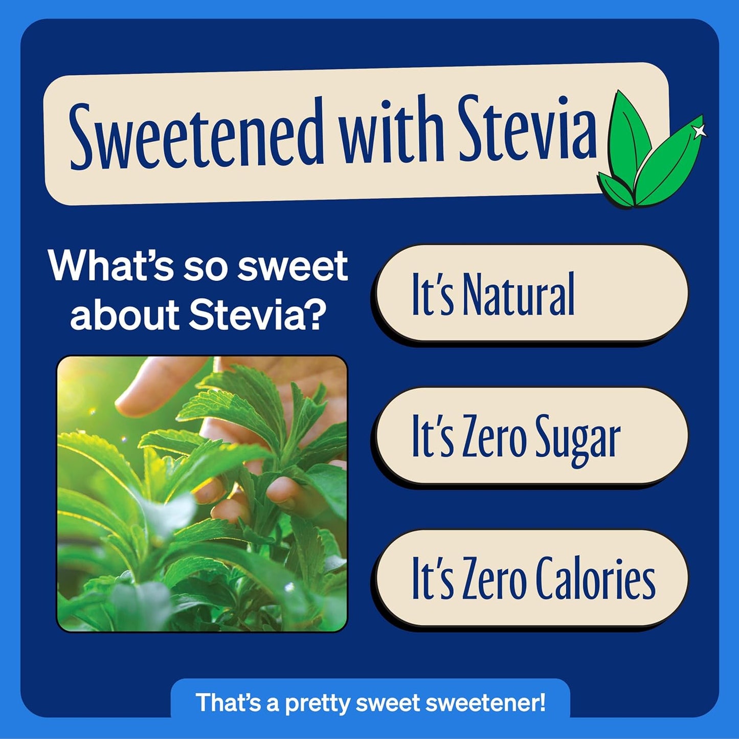 Zevia Zero Sugar Soda, Vanilla Cola, 12 oz Cans (24-Pack) – Naturally Sweetened, Non-GMO Project Verified, Gluten-Free, Vegan