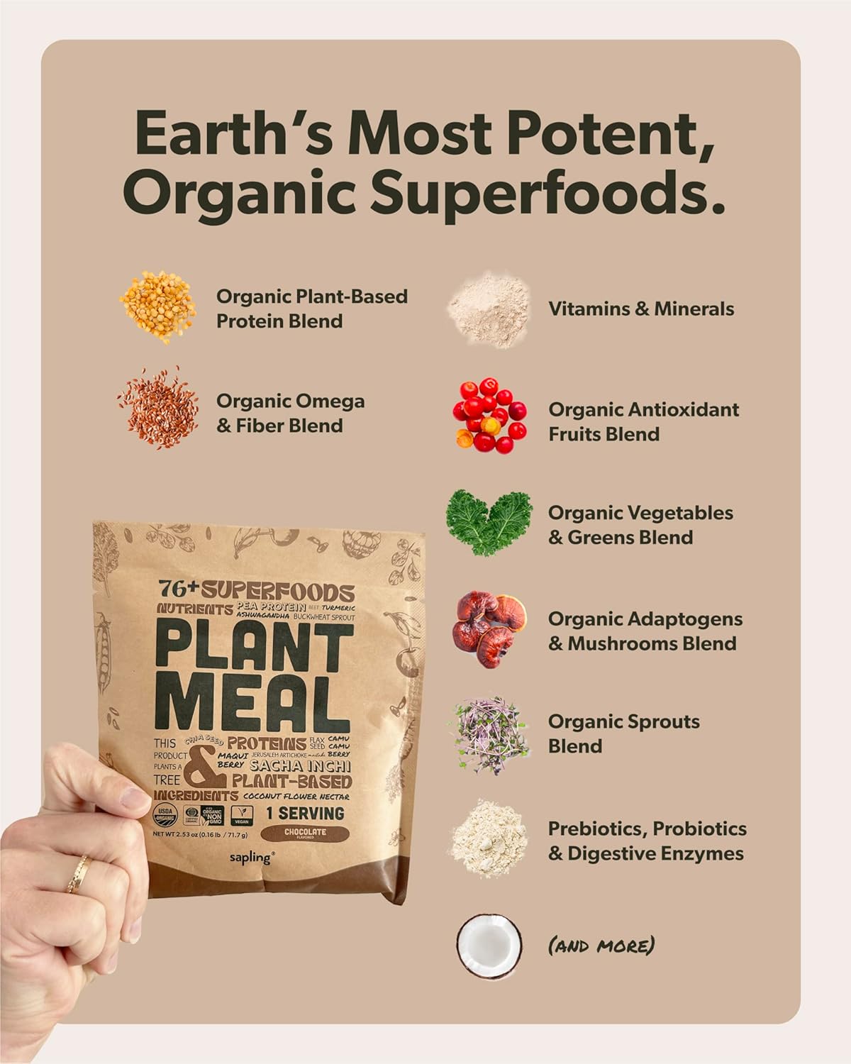 Plant Meal Replacement Shake - Chocolate - 25g of Plant Based Vegan Protein Powder, 76+ Organic Superfoods, Vitamins & Minerals, Mushrooms, Super Greens, Digestive Enzymes & Probiotics - 1 Serving