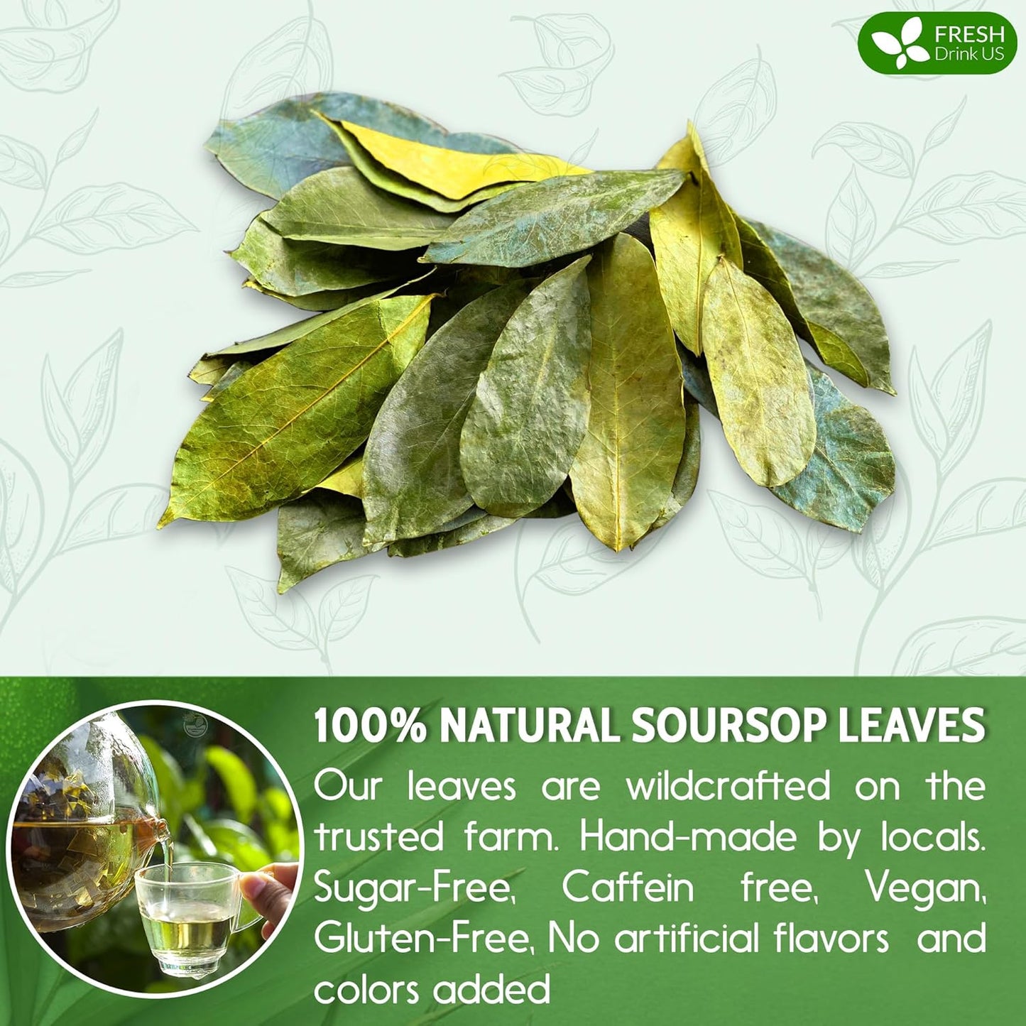 FreshDrinkUS, 75+ Premium Soursop Graviola Dried Leaves Tea, Natural Whole Leaves, Wildcrafted, Hoja De Guanabana, Soursop/Guanabana/Graviola Tea, No Sugar/Gluten/Caffeine/Non GMO, Vegan