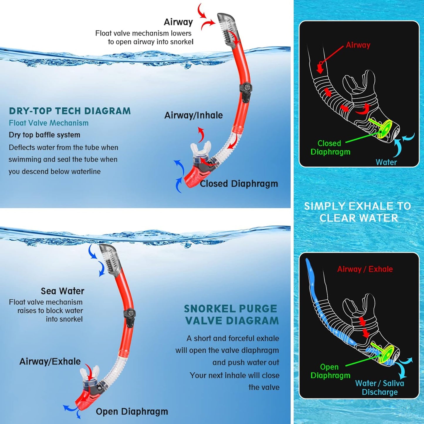 ZEEPORTE Mask Fin Snorkel Set, Travel Size Snorkeling Gear for Adults with Panoramic View Anti-Fog Mask, Trek Fins, Dry Top Snorkel and Gear Bag for Swimming Training, Snorkeling Kit Diving Packages