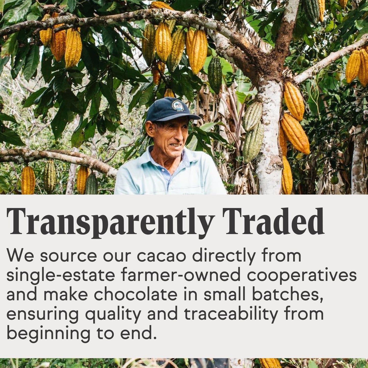 Raaka Pink Sea Salt Chocolate Gift Box | 71% Cacao Dark Chocolate | Organic, Vegan, Gluten Free | Box of 30 Individually Wrapped Chocolates