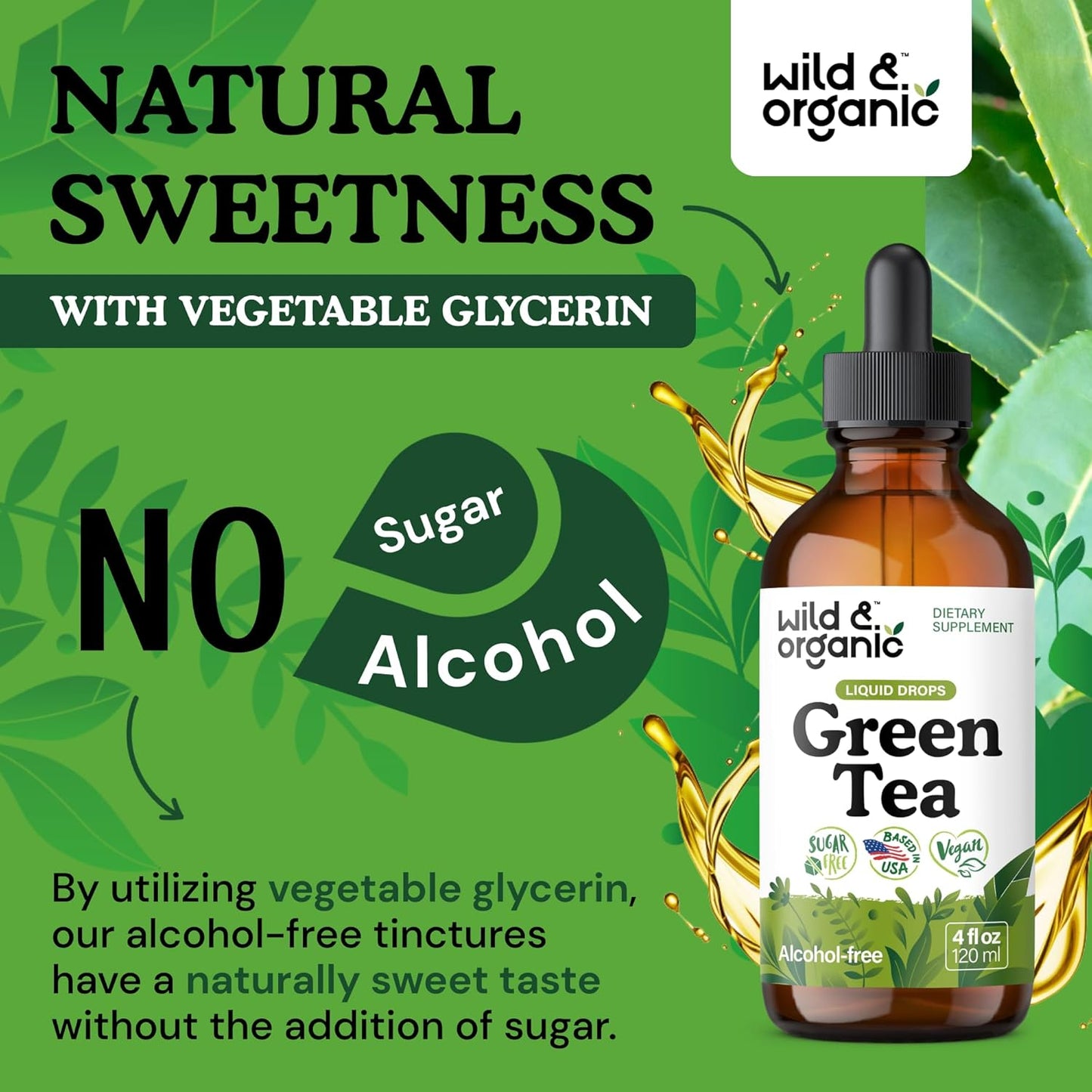 Wild & Organic Green Tea Extract Liquid Drops - Antioxidant-Rich Green Tea Supplement - 2-Month Supply - Vegan, Sugar & Alcohol-Free Camellia Sinensis Tincture - 4 fl oz