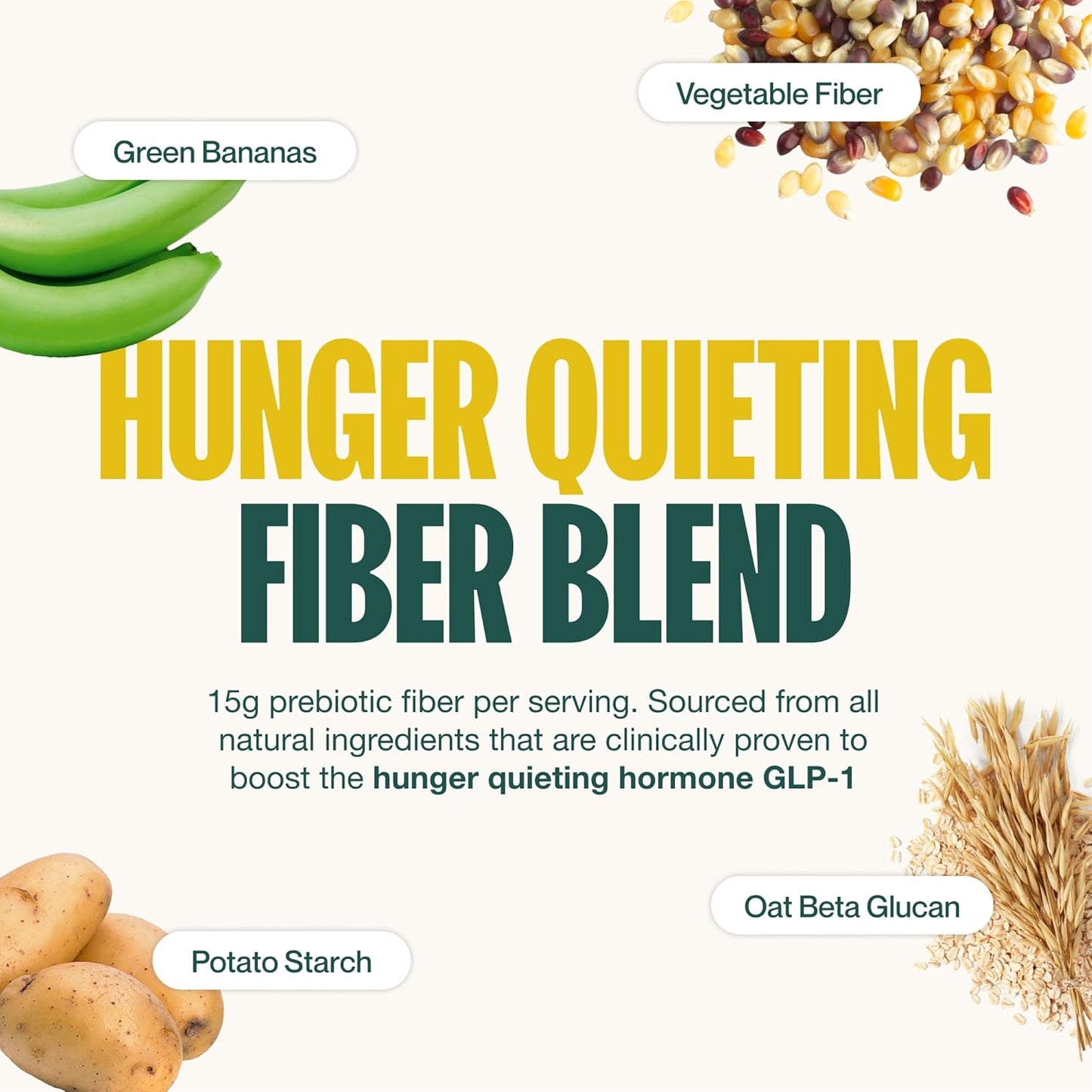 Supergut Prebiotic Shakes | Meal Replacement | Boost GLP-1 | High Protein and Fiber | No Added Sugar | Keto Food, Meal, Snack (Vegan Chocolate, 14 servings)