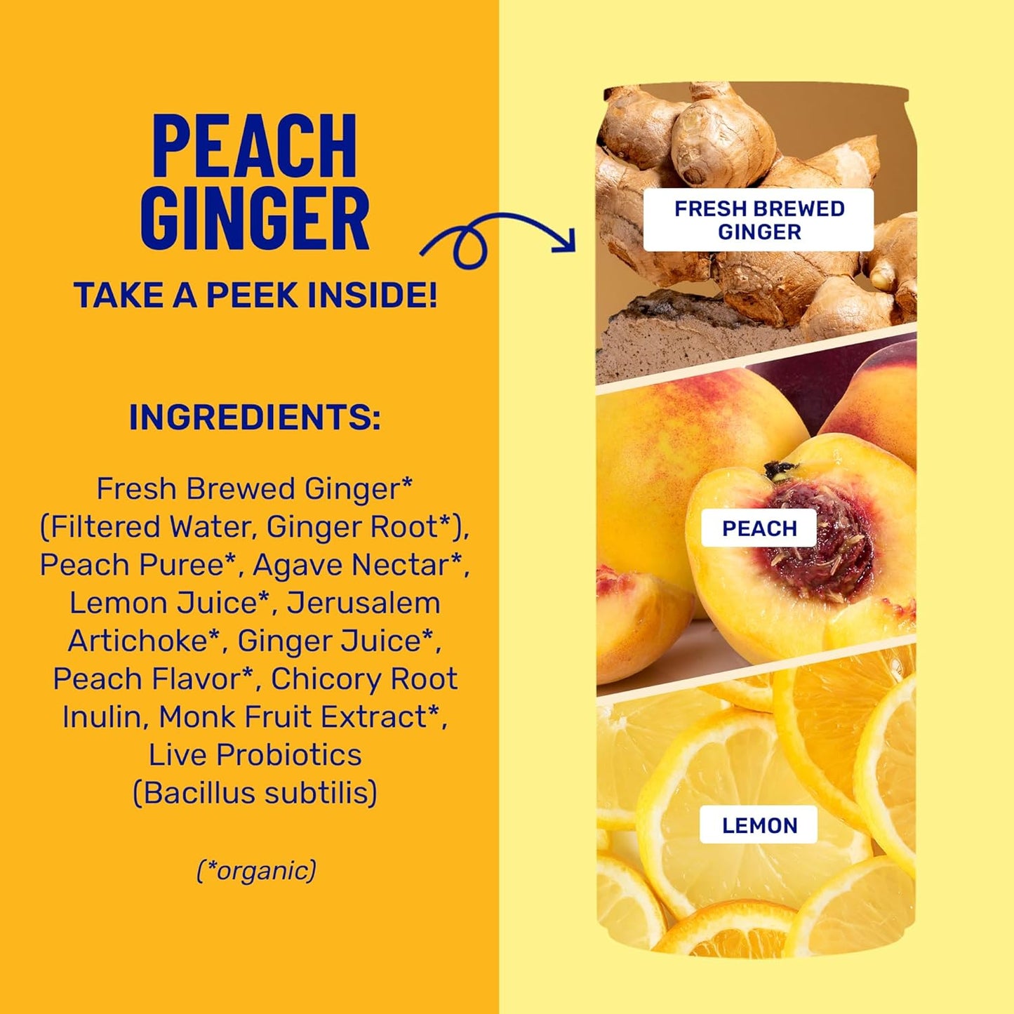 wildwonder Sparkling Probiotic Drink 12pk, For Gut Health & Immune Support, Peach Ginger, 5g Prebiotic Fiber, Live Probiotics, Organic, Vegan, Low Sugar, 12 Pack, 12oz Can, As Seen on Shark Tank