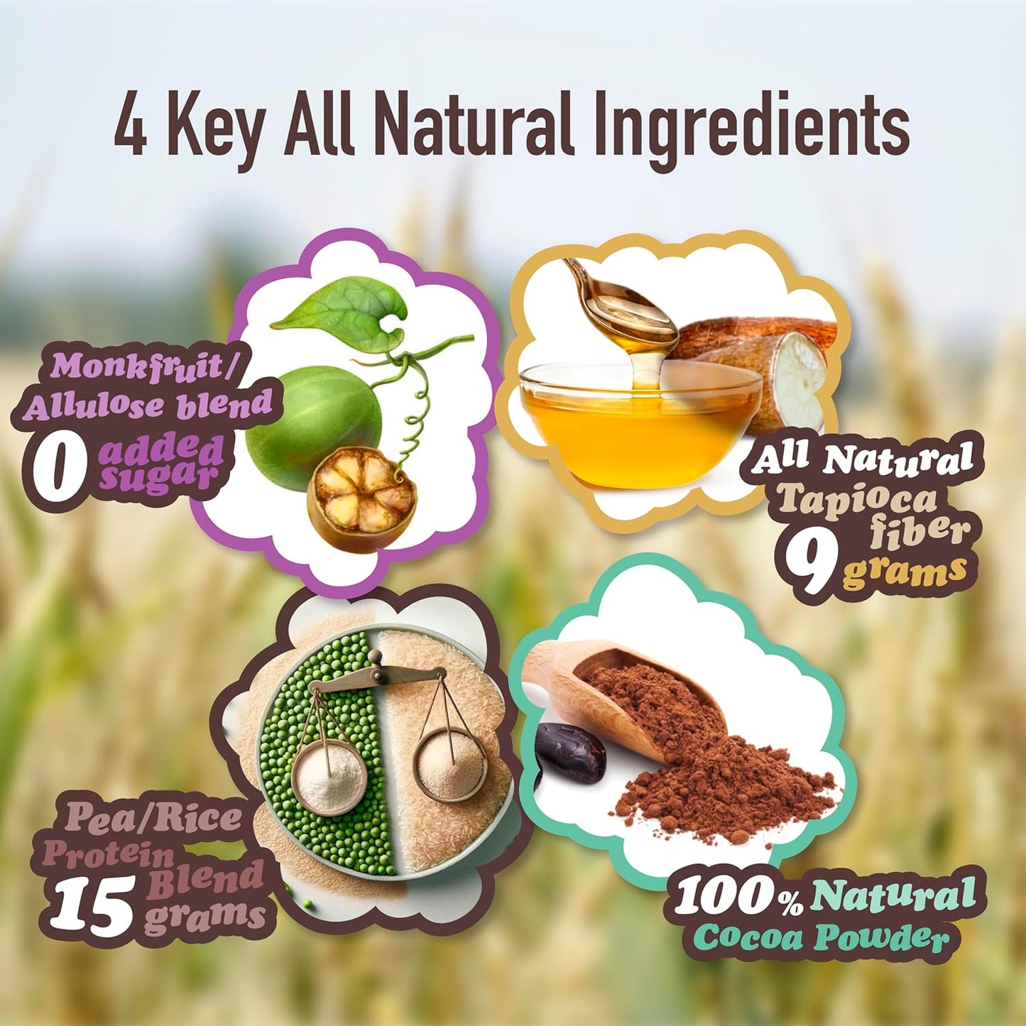 Alio Protein Bars - 3-Flavor Combo Box (12 Bars) – Free From The Top 9 Food Allergens, High Protein, Low-Calorie, Vegan, Gluten-Free, Nut-Free, Non-GMO, Plant-Based, Seed Oil Free, Delicious & Healthy Snack