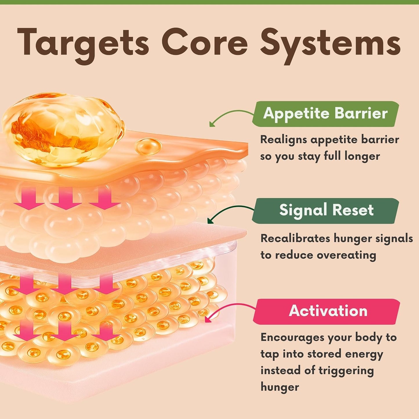 Natural Appetite Support Supplement for Women & Men, Clinically Studied Formula to Help Control Hunger & Cravings Naturally, Support Healthy Hormonal Balance, Holistic Daily Wellness – 60 Capsules