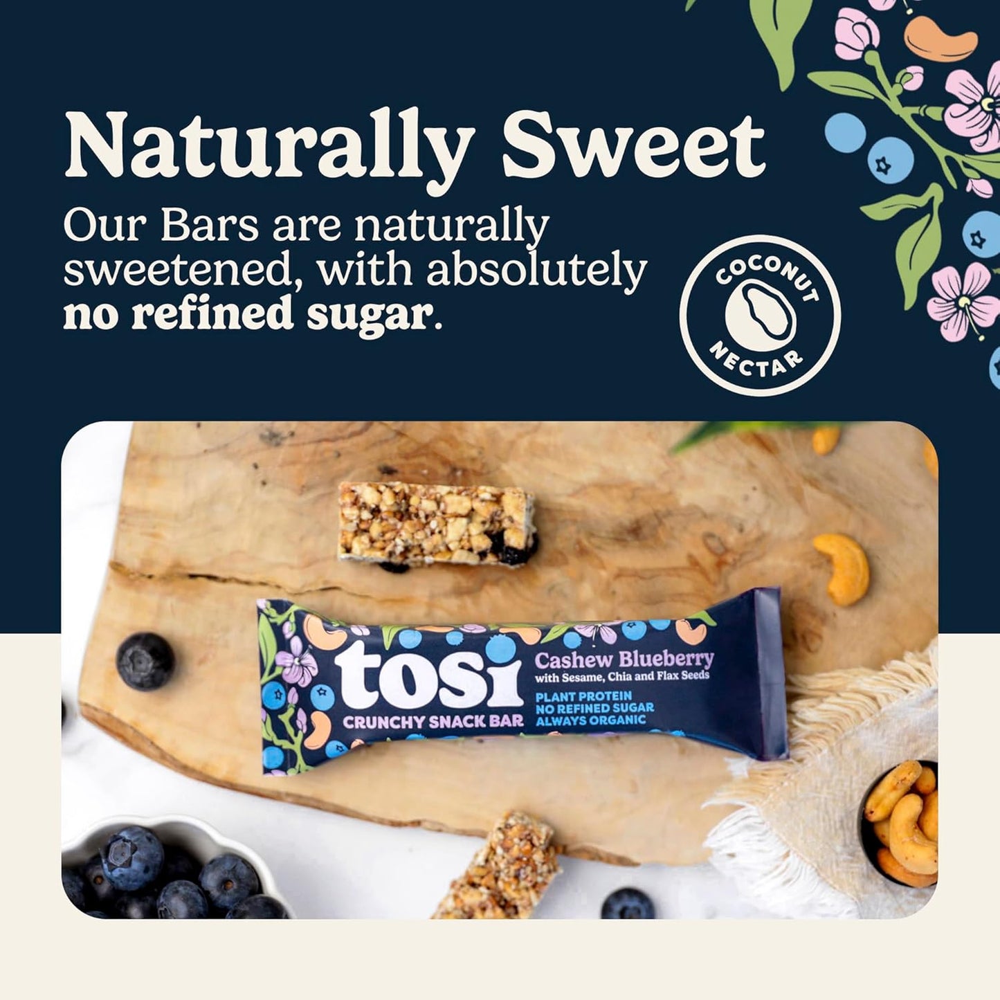 Tosi Cashew Blueberry Protein Bars - Crunchy Nut & Seed Vegan Snack Bars, Gluten Free, 6g Plant Based Protein, Organic Flax, Chia, Sesame Seeds, Omega 3s, Low in Sugar, No Soy - 1 oz, 12-Pack