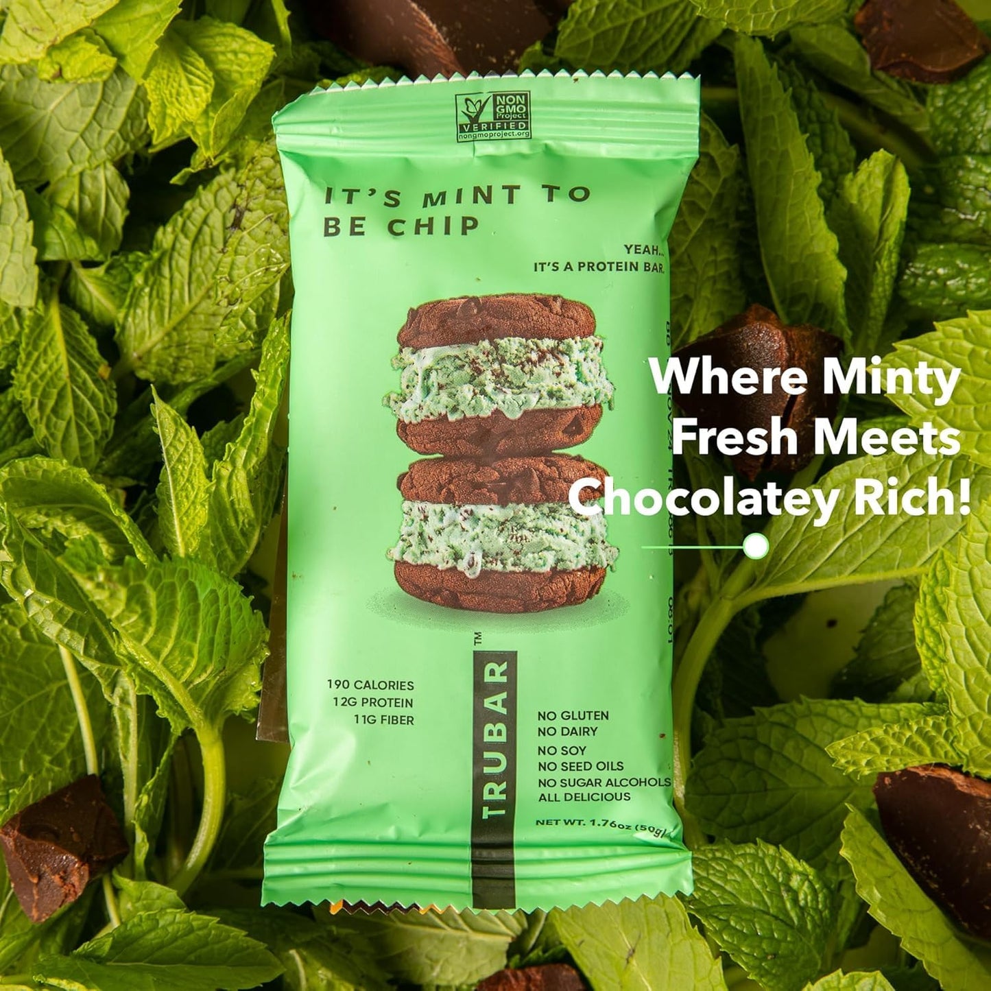 TRUBAR Vegan Protein Bar, It’s Mint to Be Chip, Gluten Free, Plant Based High Fiber, Dairy Free, Non GMO, Low Fat, No Sugar Alcohols, 12G Lean Protein, 13G Fiber, Healthy Snack Bars, 12 CT