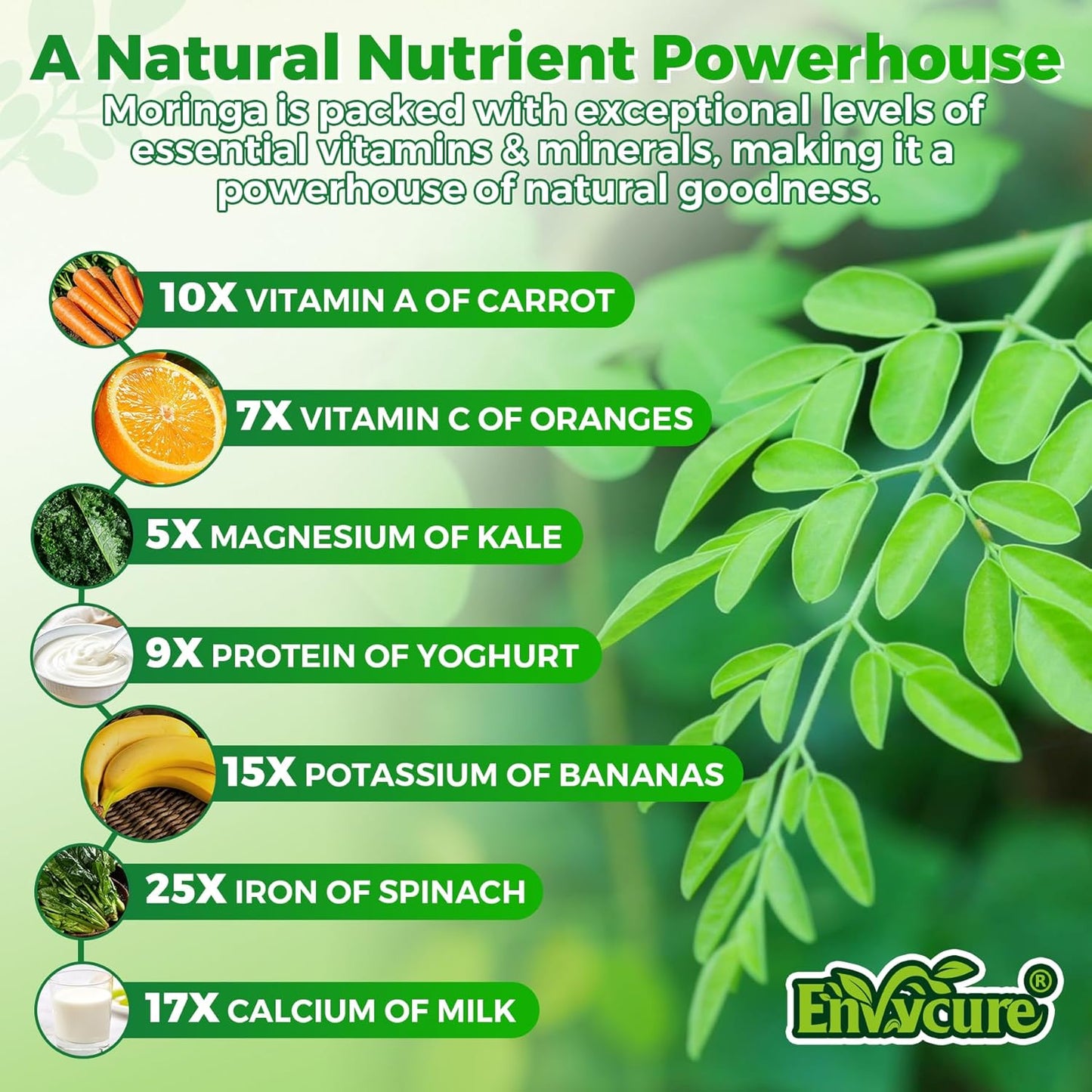 Organic Moringa Spirulina Gummies, Rich in Antioxidants, Essential Vitamins & Amino Acids, Pure Moringa Oleifera Leaves with Wheatgrass & Chlorella for Energy & Immunity, Green Superfood, 120 Cts