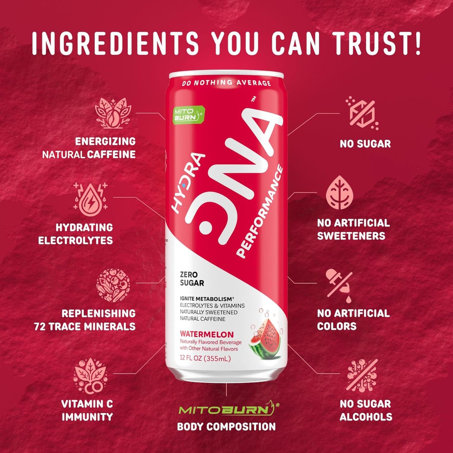 HYDRADNA- Clean Performance Drink, Zero Sugar | For Natural Fuel, Alertness, Boost, Stamina,120 mg Organic Caffeine, Natural Flavors, Zero Sucralose, Clean Ingredients (12 Pack) (12 Pack, Watermelon)