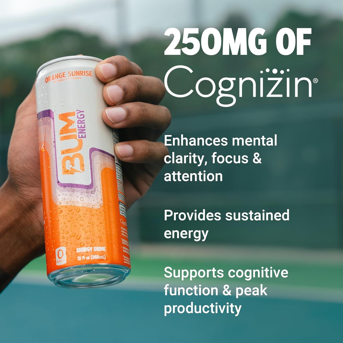 BUM Sugar-Free Energy Drink, Orange Sunrise - Lightly Carbonated & No Artificial Colors, Natural Caffeine & Citicoline for Energy & Focus, Brain Boost & Workout Sports Beverage - 12 oz, Pack of 12