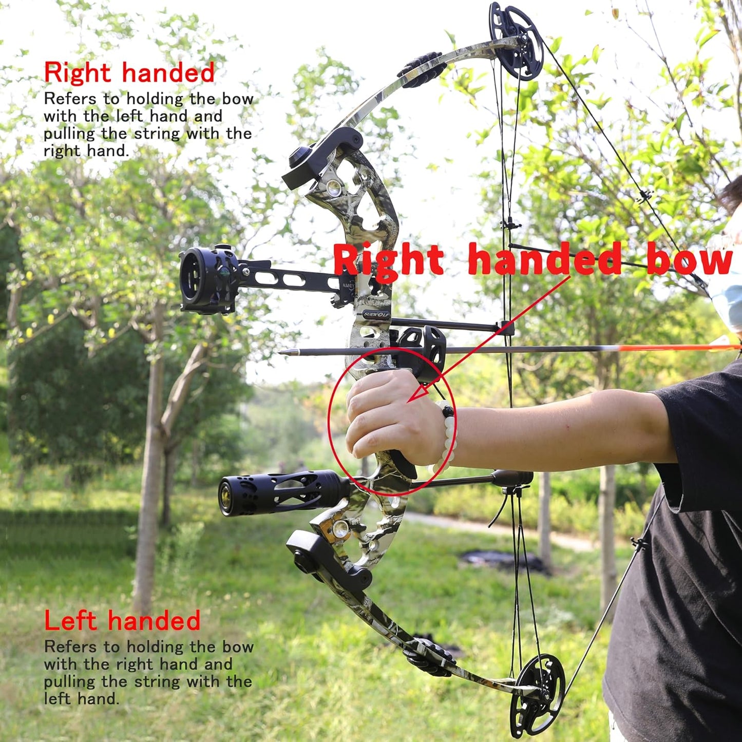 Compound Bow and Arrow Set, Hunting & Targeting, Limb Made in USA,Draw Weight 30-55lbs Adjustable,Draw Length 24-29.5", Right/Left Handed for Adult/Beginner