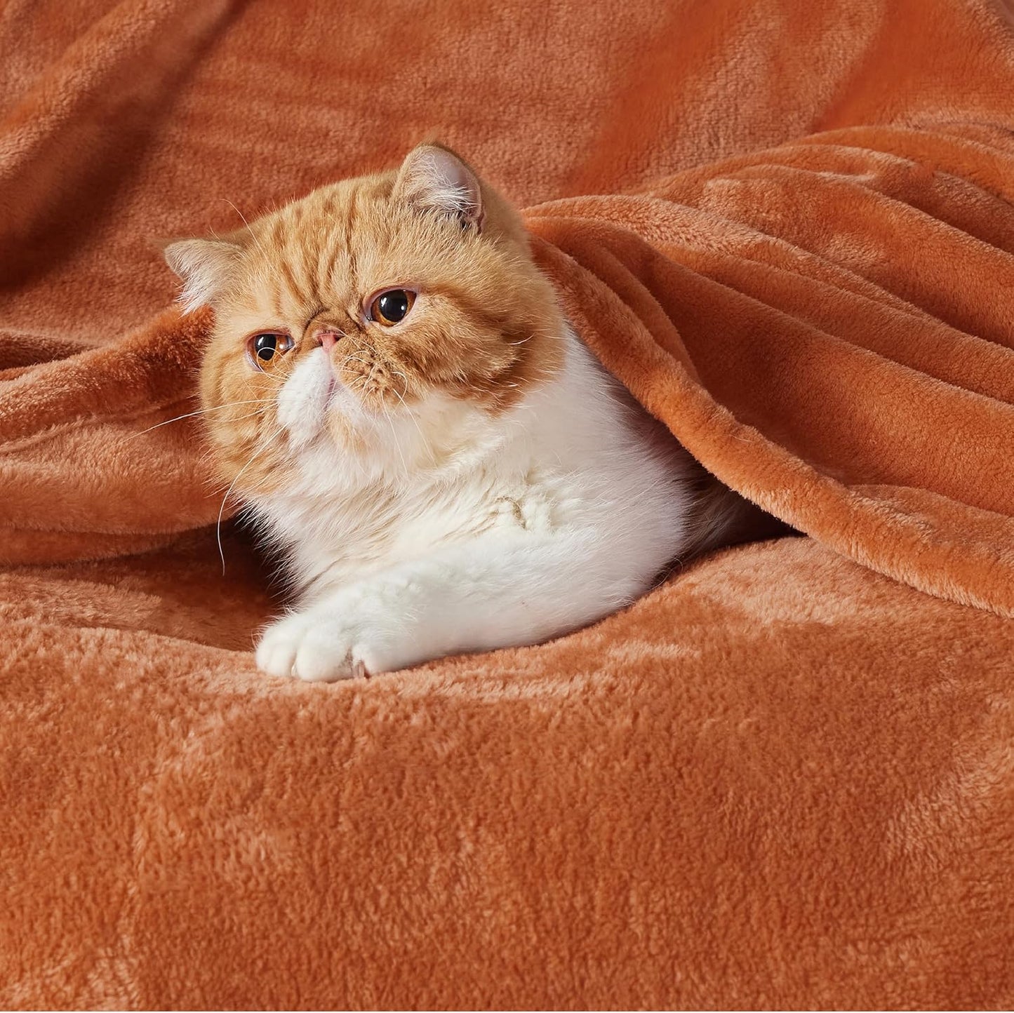 Bedsure Burnt Orange Fleece Blanket King Size - 280GSM Soft Lightweight Plush Cozy Blankets for Bed, Sofa, Couch, Travel, Camping