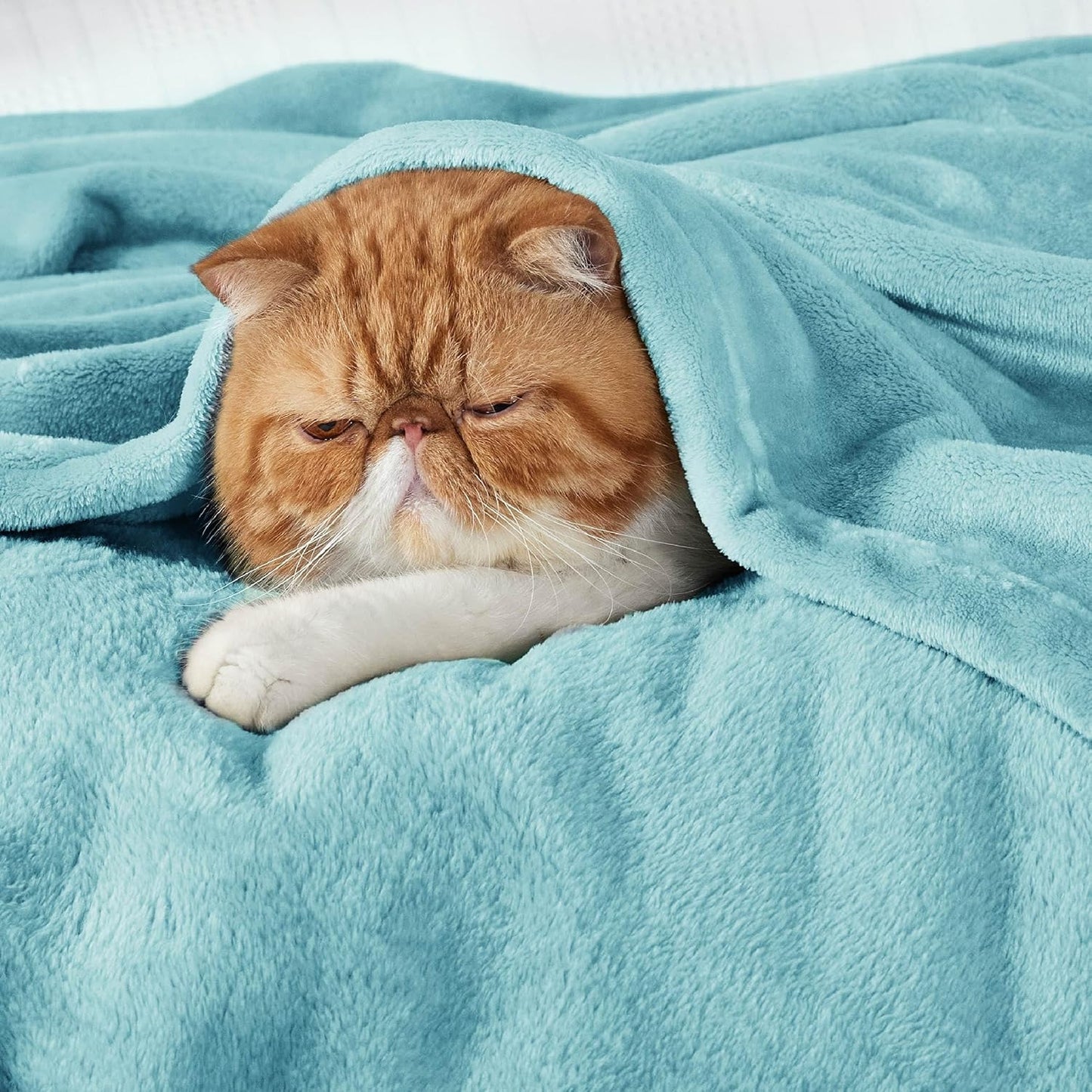 Bedsure Fleece Throw Blanket for Couch River Blue - Lightweight Plush Fuzzy Cozy Soft Blankets and Throws for Sofa, 50x60 inches