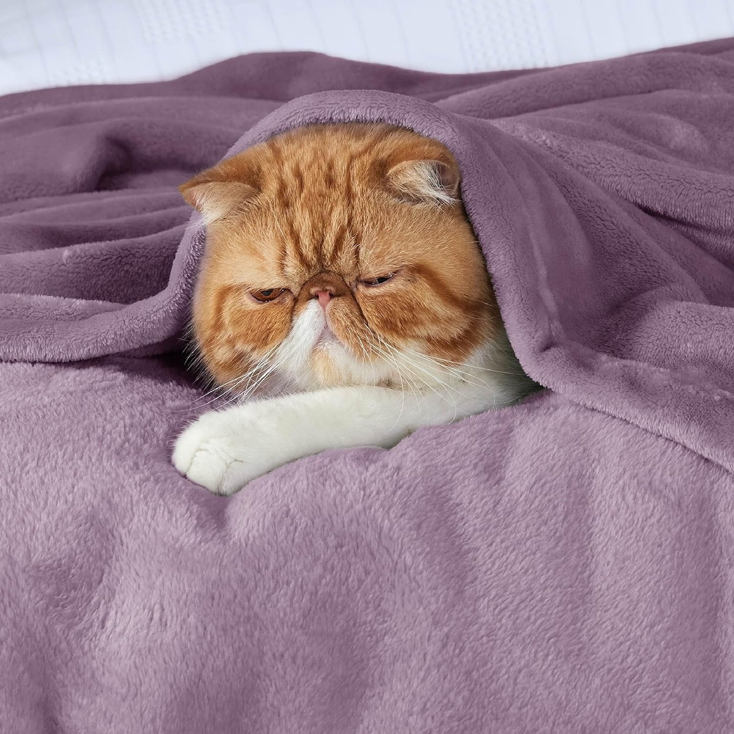 Bedsure Fleece Blankets Twin Size Fog Purple - 300GSM Lightweight Plush Fuzzy Cozy Soft Blanket for Bed, Sofa, Couch, Travel, Camping, 60x80 inches