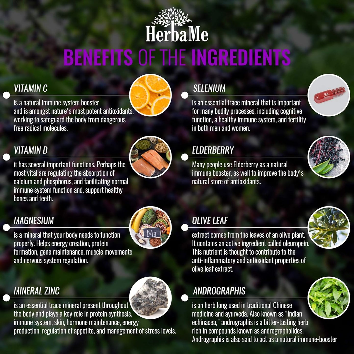 Advanced Immune System Booster 15 in 1 with Elderberry, Quercetin, Zinc, Vitamin D, 90 Capsules, Support Natural Wellness, Immunity Boost Supplement with Selenium and Vitamin C Antioxidants