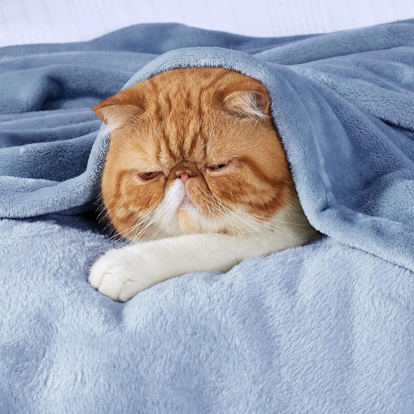 Bedsure Bedding Fleece Blanket for Girls and Boys - Soft Cozy Cute Small Throw Blankets for Travel, 43x55 Inches, Washed Blue