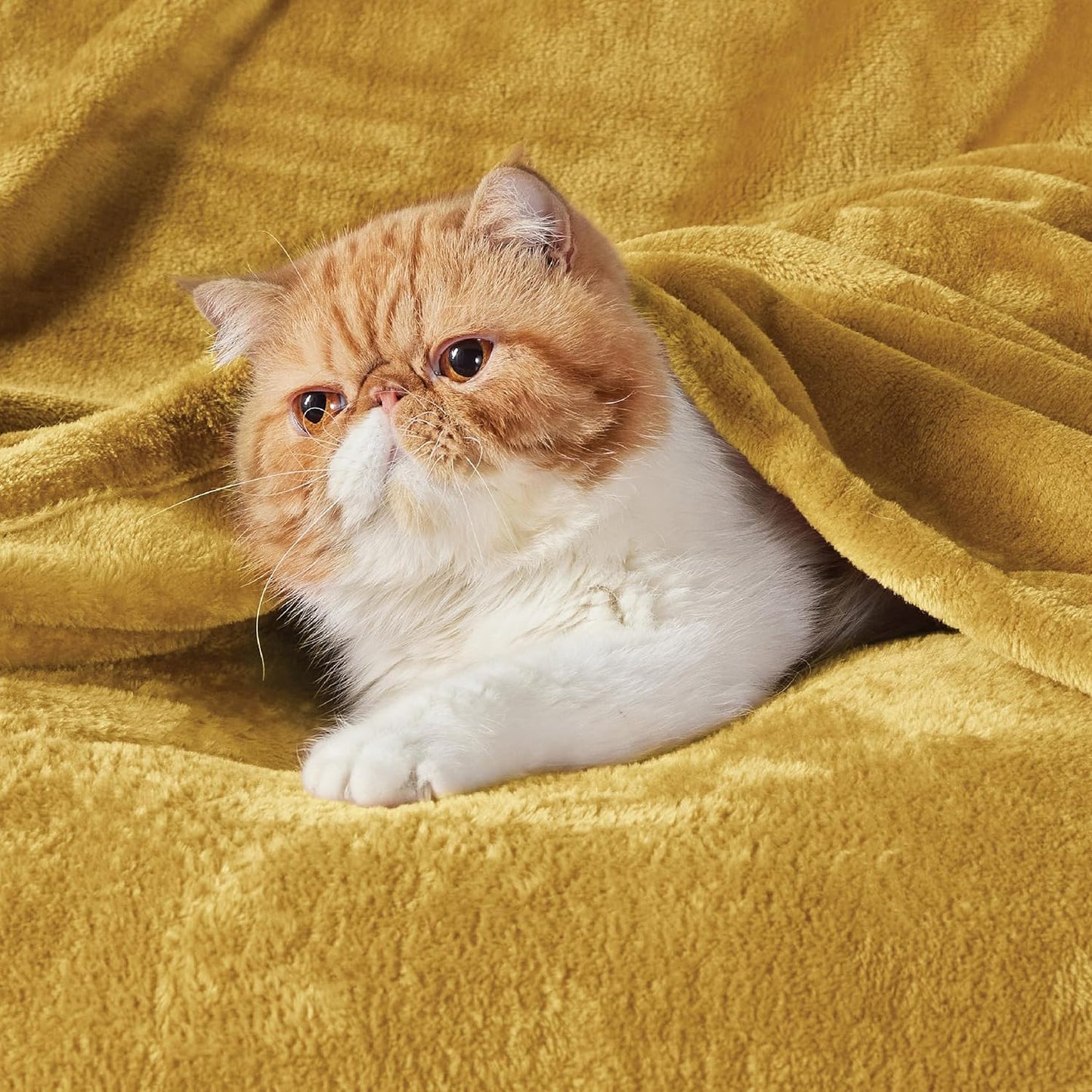 Bedsure Fleece Blanket Queen Blanket Gold Yellow - Bed Blanket Soft Lightweight Plush Fuzzy Cozy Luxury Microfiber, 90x90 inches