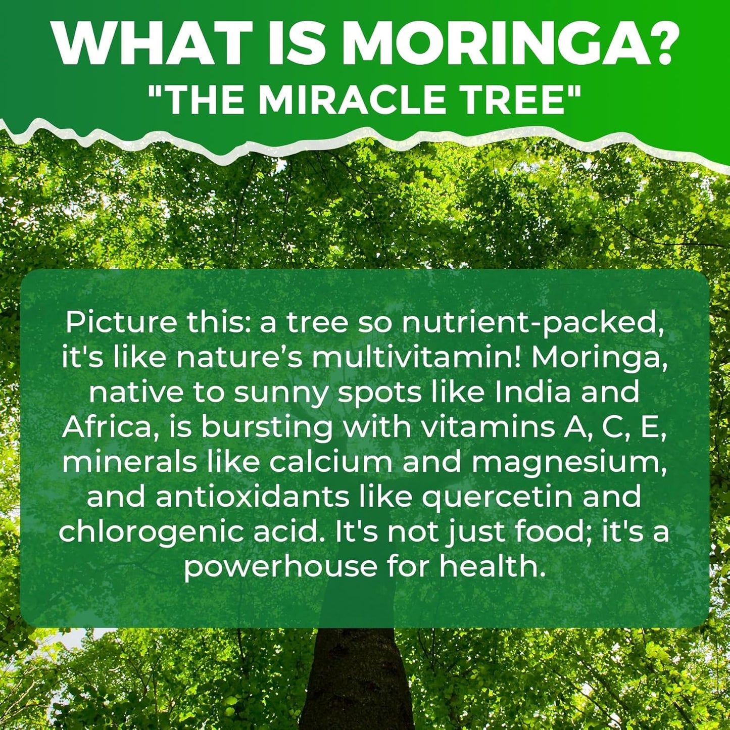 Organic Moringa Spirulina Gummies, Rich in Antioxidants, Essential Vitamins & Amino Acids, Pure Moringa Oleifera Leaves with Wheatgrass & Chlorella for Energy & Immunity, Green Superfood, 120 Cts
