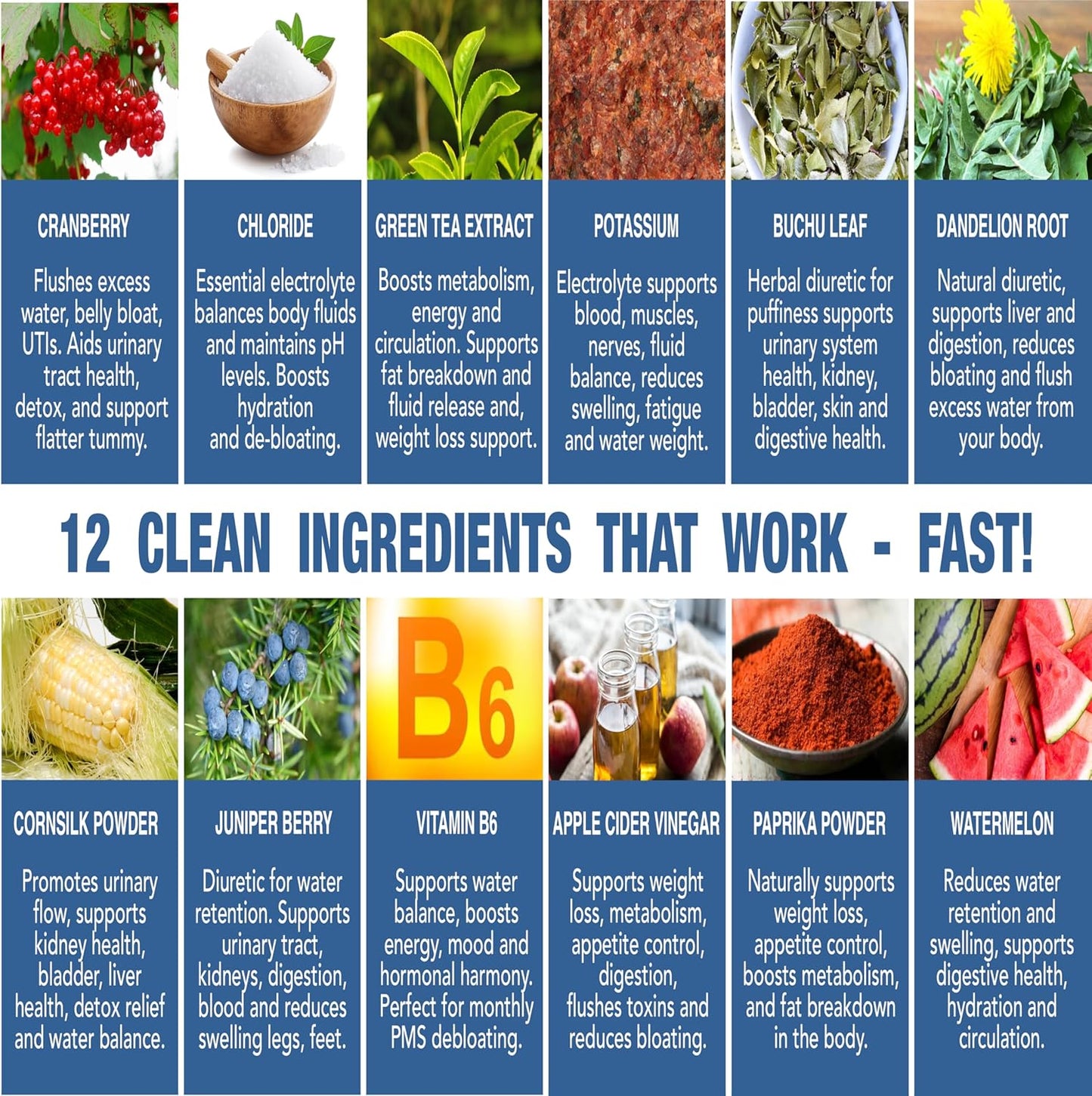 Water Pills Diuretic Water Retention, Liver Detox, Kidney Cleanse, Weight, Swelling, Edema, Bloating Relief, Fluid Balance Watershed Max Strength (1)