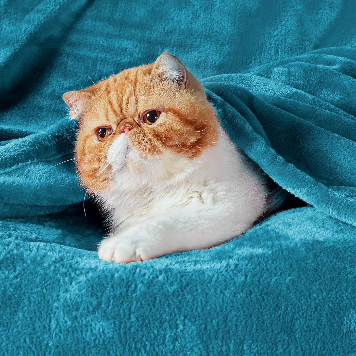 Bedsure Fleece Blankets King Size Teal - Bed Blanket Soft Lightweight Plush Cozy Fuzzy Luxury Microfiber, 108x90 inches