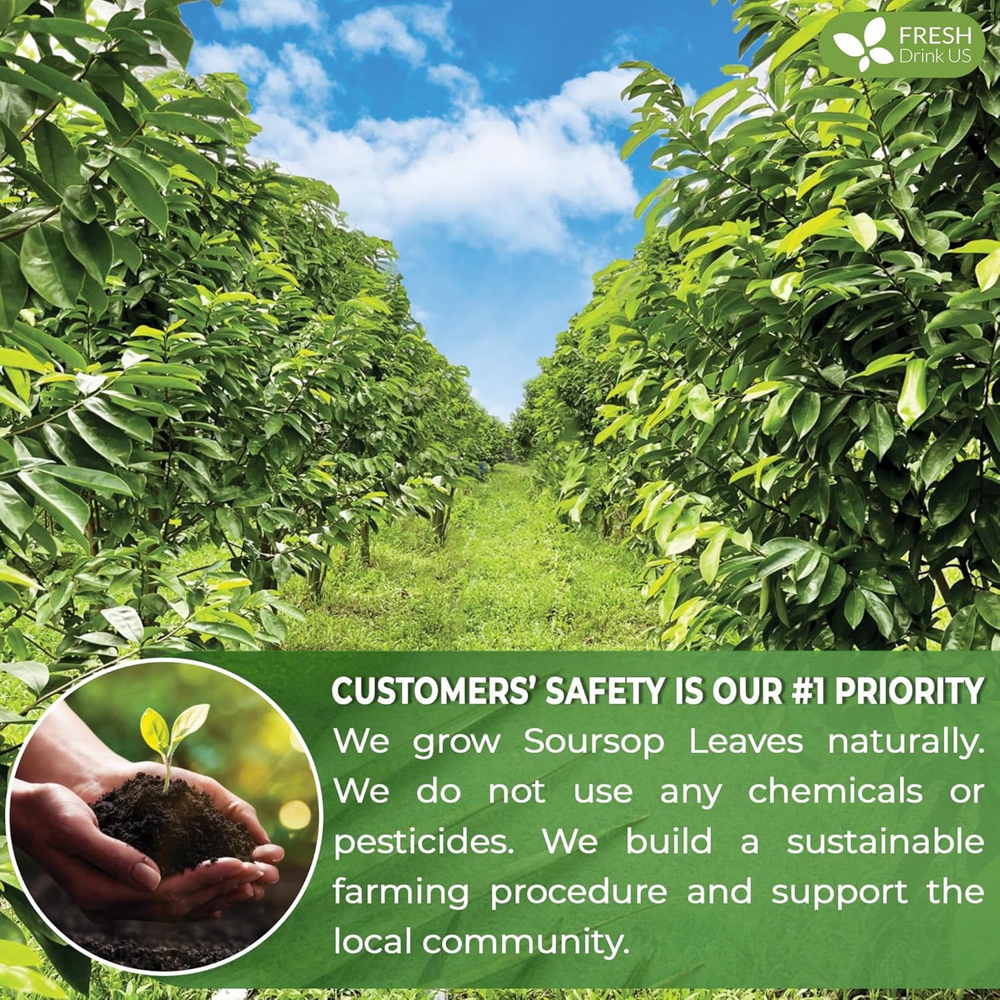 FreshDrinkUS, Premium 15 Soursop Graviola Leaf Tea Bags, 100% Natural & Pure from Soursop Leaves, Hoja Guanabana Herbal Tea. Made with Natural Material Tea Bags. No Sugar, No Caffeine, Vegan.