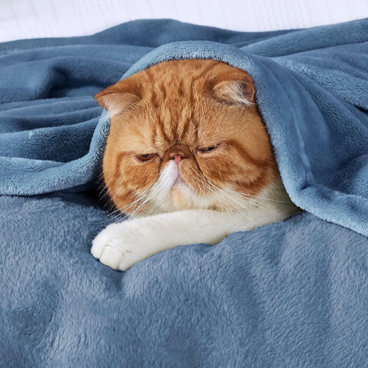 Bedsure Fleece Throw XL Blanket Washed Blue - 300GSM Soft Lightweight Plush Cozy Blankets for Bed, Sofa, Couch, Travel, Camping, 50x70 inches