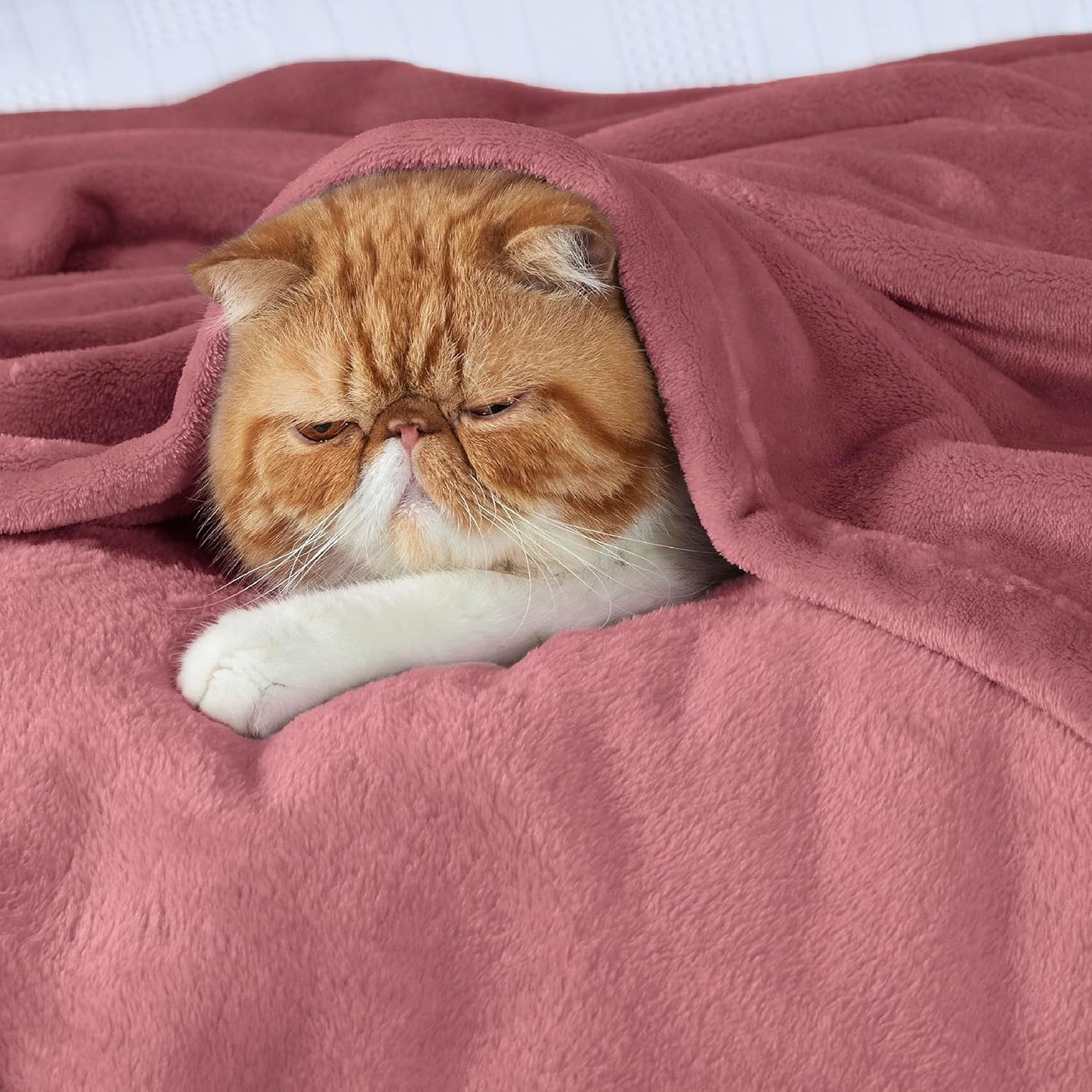 Bedsure Fleece Throw Blanket for Couch Rose Pink - Lightweight Plush Fuzzy Cozy Soft Blankets and Throws for Sofa, 50x70 inches