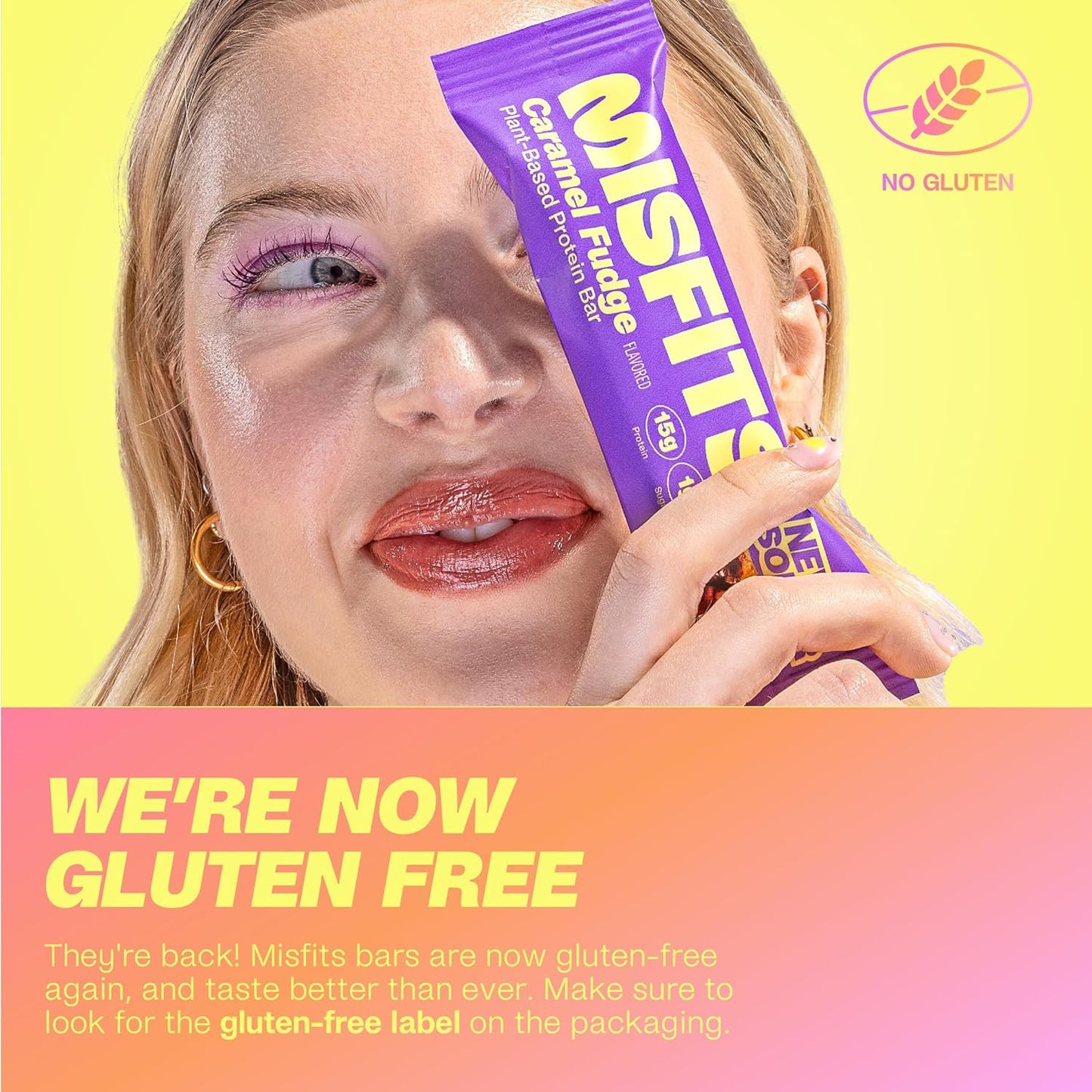 Misfits Vegan Protein Bars - Updated Gluten Free Recipe | Plant Based, Low Sugar & Carb, High Fiber Snacks | Variety Pack of 12 (4 Flavors)