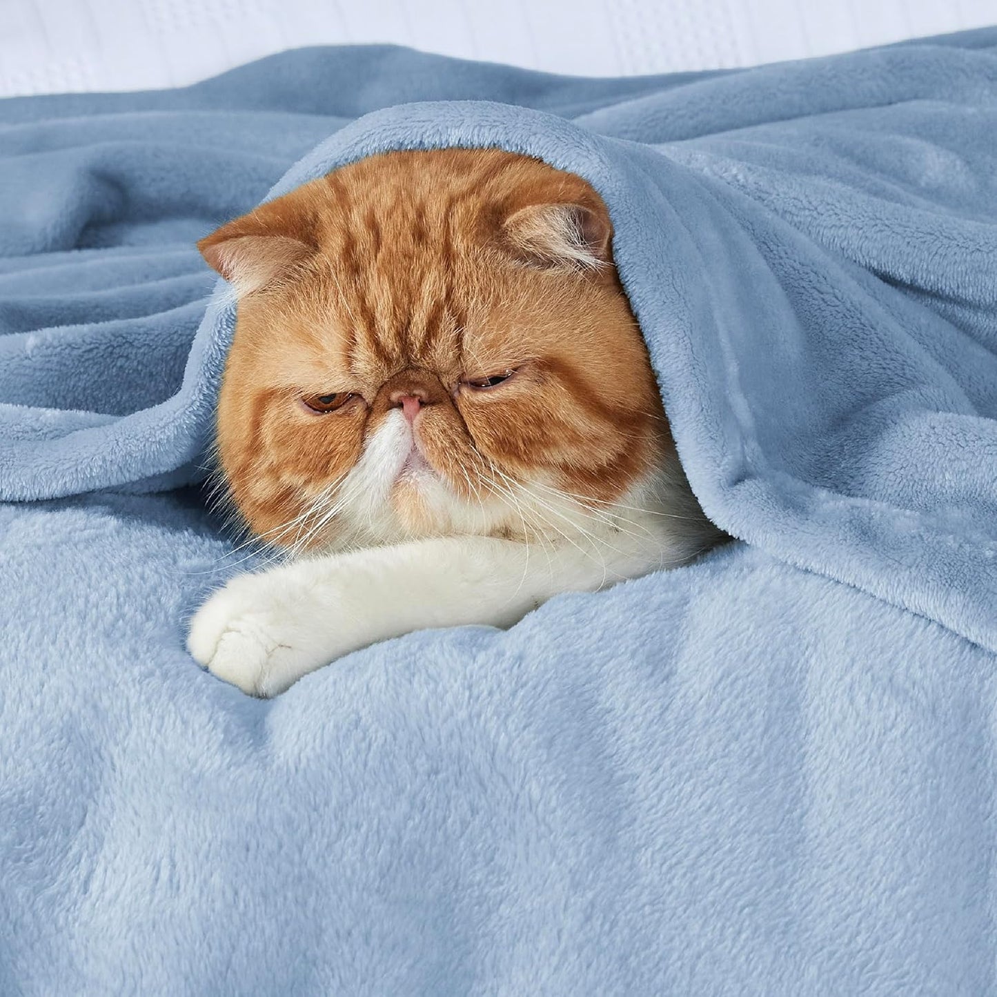 Bedsure Fleece Throw Blanket for Couch Light Blue - Lightweight Plush Fuzzy Cozy Soft Blankets and Throws for Sofa, 50x70 inches