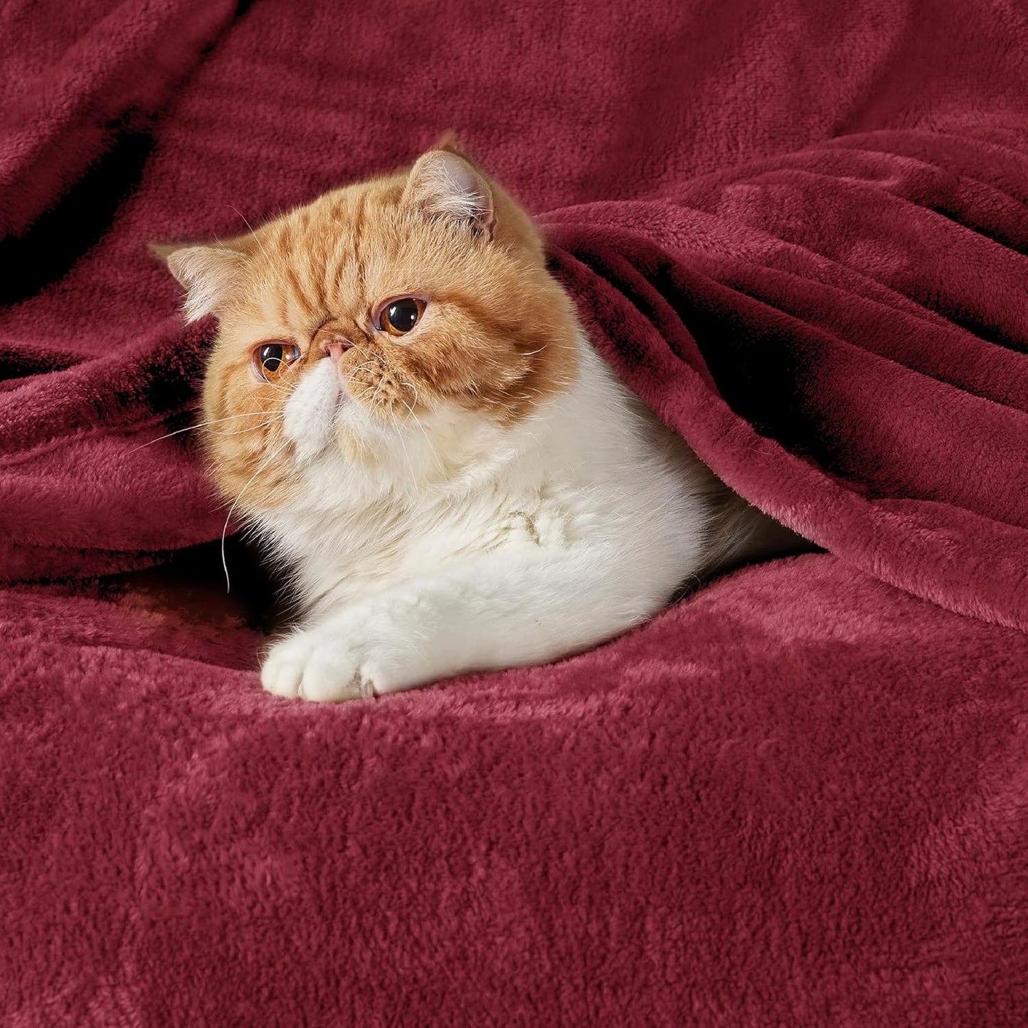 Bedsure Fleece Blankets King Size Burgundy - Bed Blanket Soft Lightweight Plush Cozy Fuzzy Luxury Microfiber, 108x90 inches