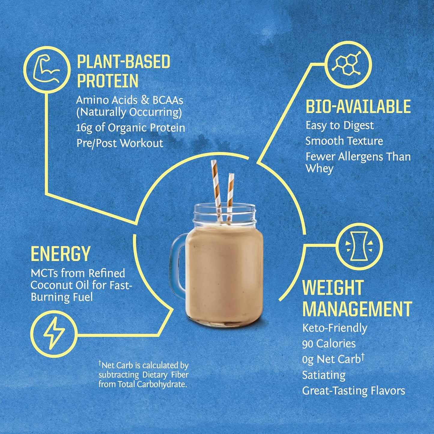 Organic Plant Based Protein Powder | Vegan Organic Protein Powder Chocolate Flavored with BCAA Amino Acids & Hemp Seed Pea Blend | Non-GMO Soy Dairy Filler & Gluten Free (Chocolate, 30 Servings)