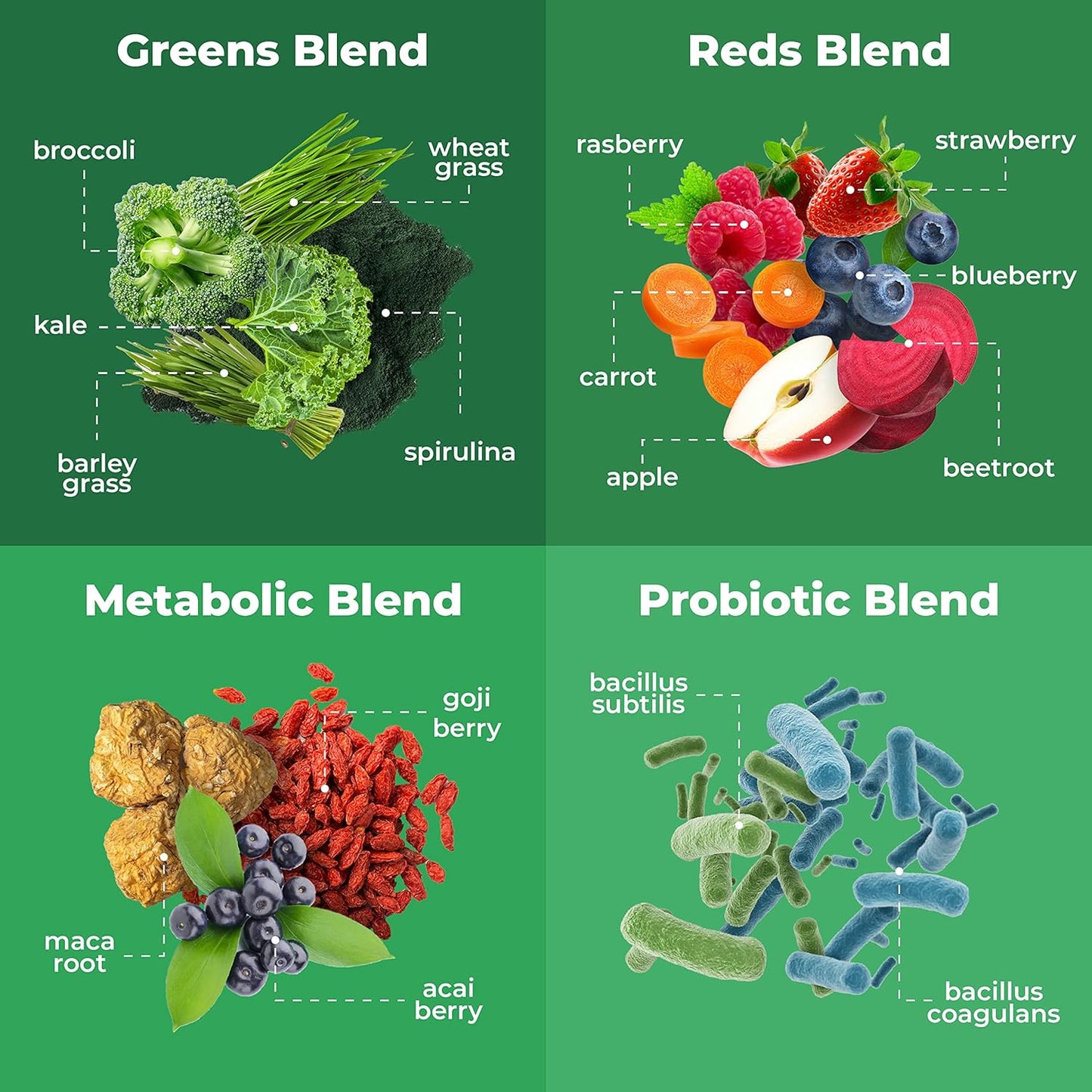 Greens Powder Travel Packs - 14 Servings for Memory, Digestion I Best Taste Super Greens Powder with Organic Spirulina, Goji, Beetroot, Pomegranate I Vegan, Non-GMO