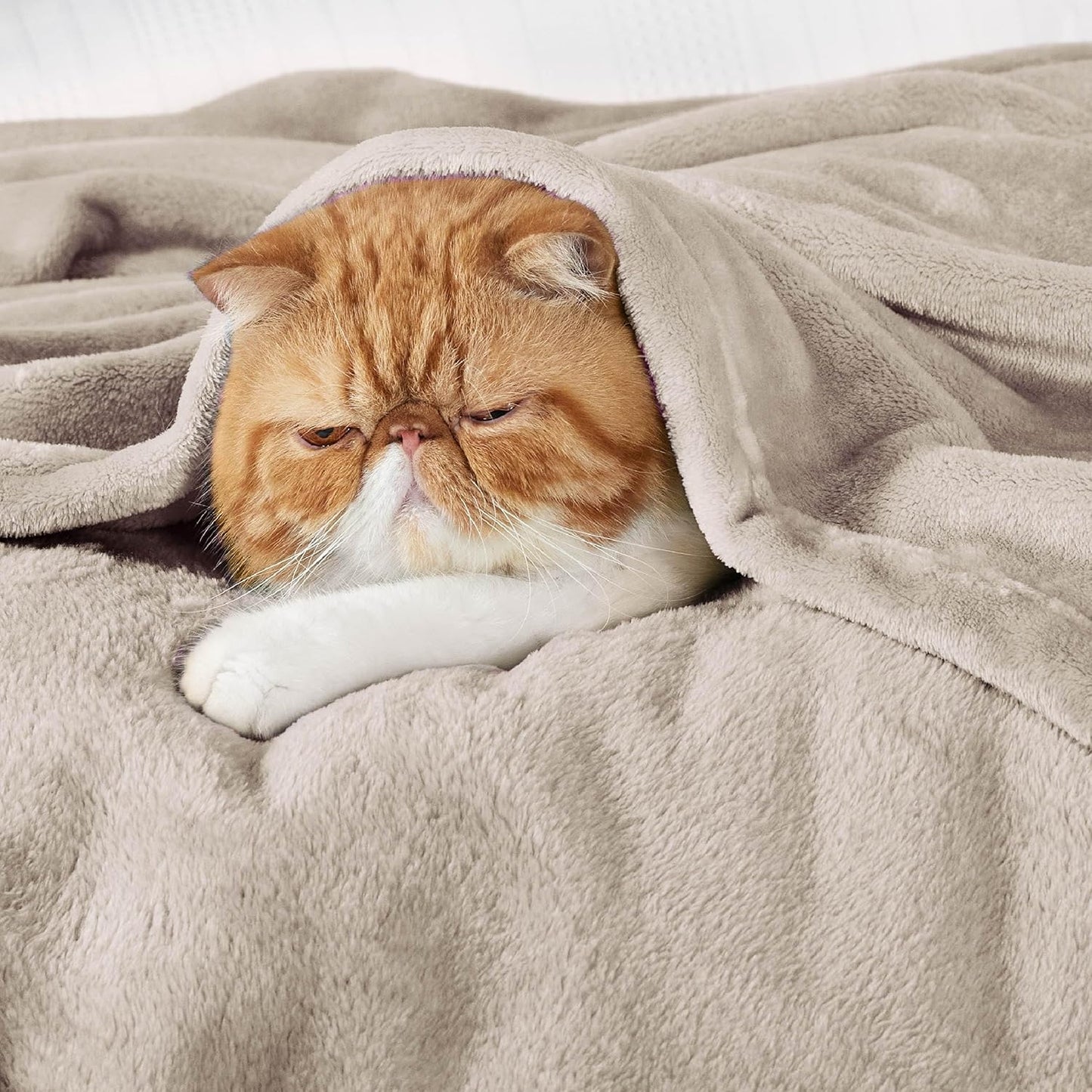 Bedsure Fleece King Size Blankets for Bed Oxford Tan - Soft Lightweight Plush Cozy Fuzzy Luxury Microfiber, 108x90 inches