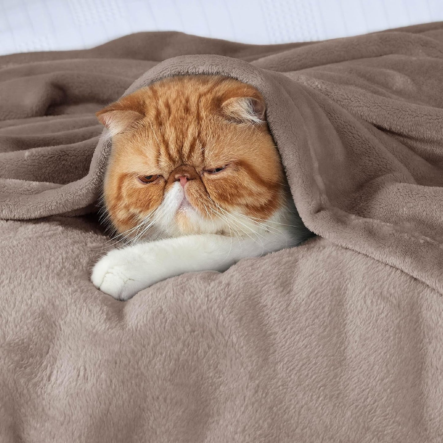 Bedsure Fleece Bed Blankets Queen Size Mocha Brown - Soft Lightweight Plush Fuzzy Cozy Luxury Blanket Microfiber, 90x90 inches